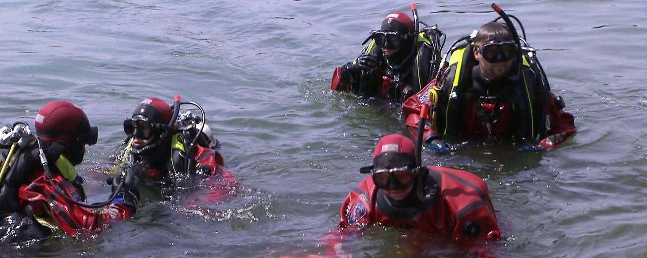 Fünf Taucher in Ausrüstung schwimmen gemeinsam im Wasser der Donauinsel.