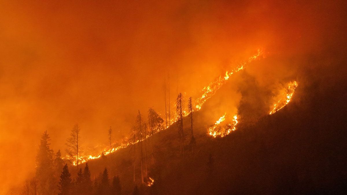 Ein Waldbrand brennt heftig an einem Hang, Flammen und Rauch steigen über Bäume auf.
