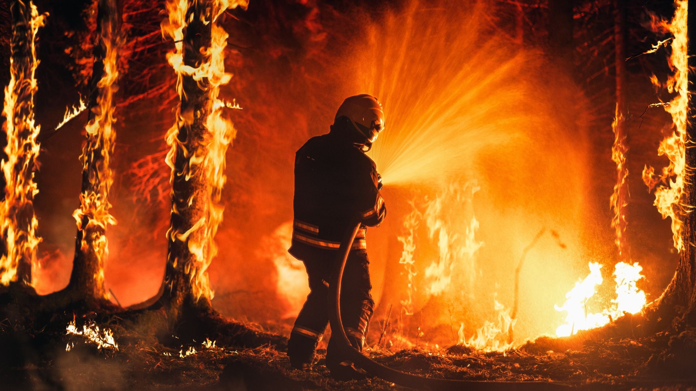 Feuerwehrmann löscht mit einem Schlauch einen großen Waldbrand mit Flammen bis in die Baumkronen.