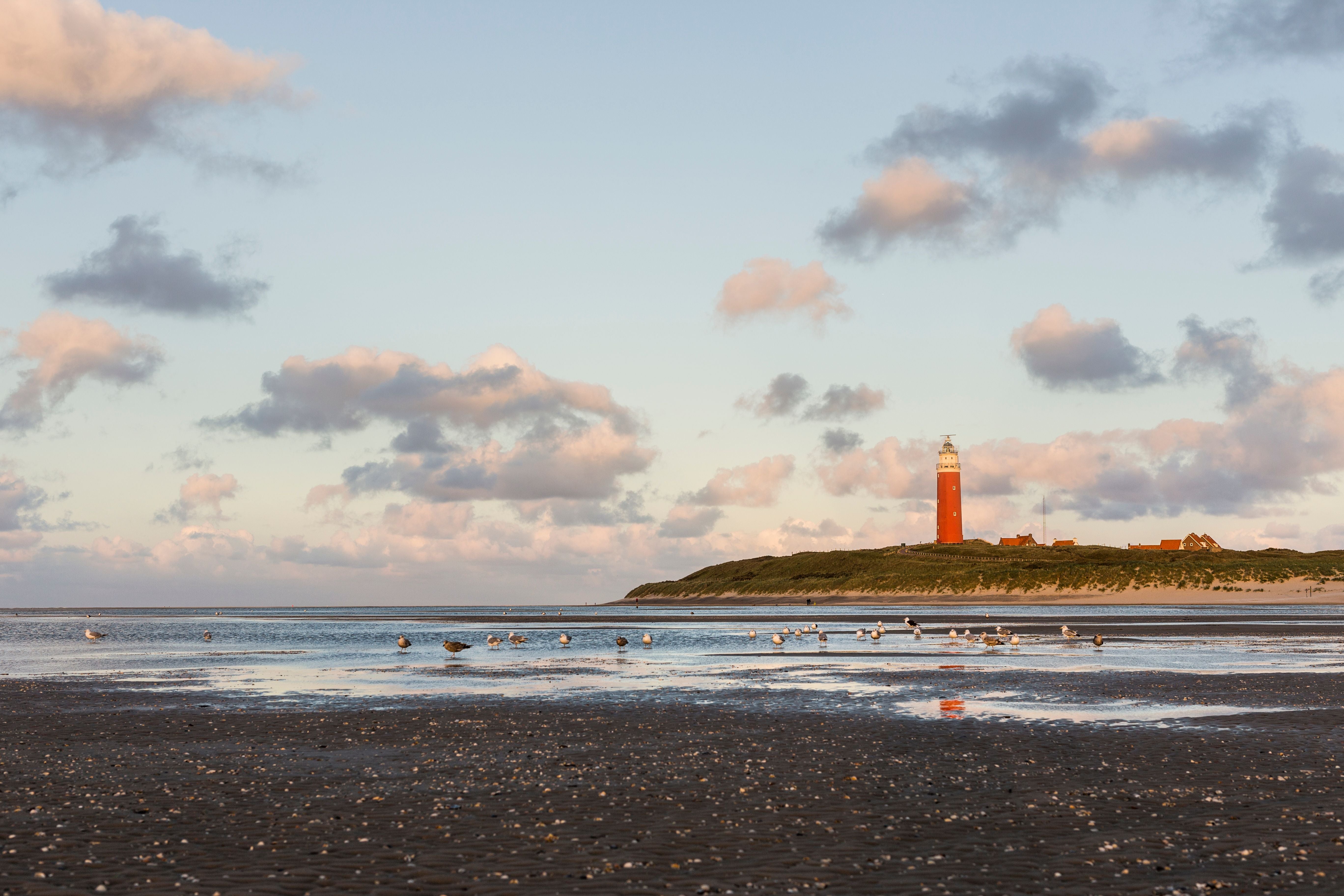 Leuchtturm auf der Insel Texel mit Möwen am Strand und bewölktem Himmel im Hintergrund.