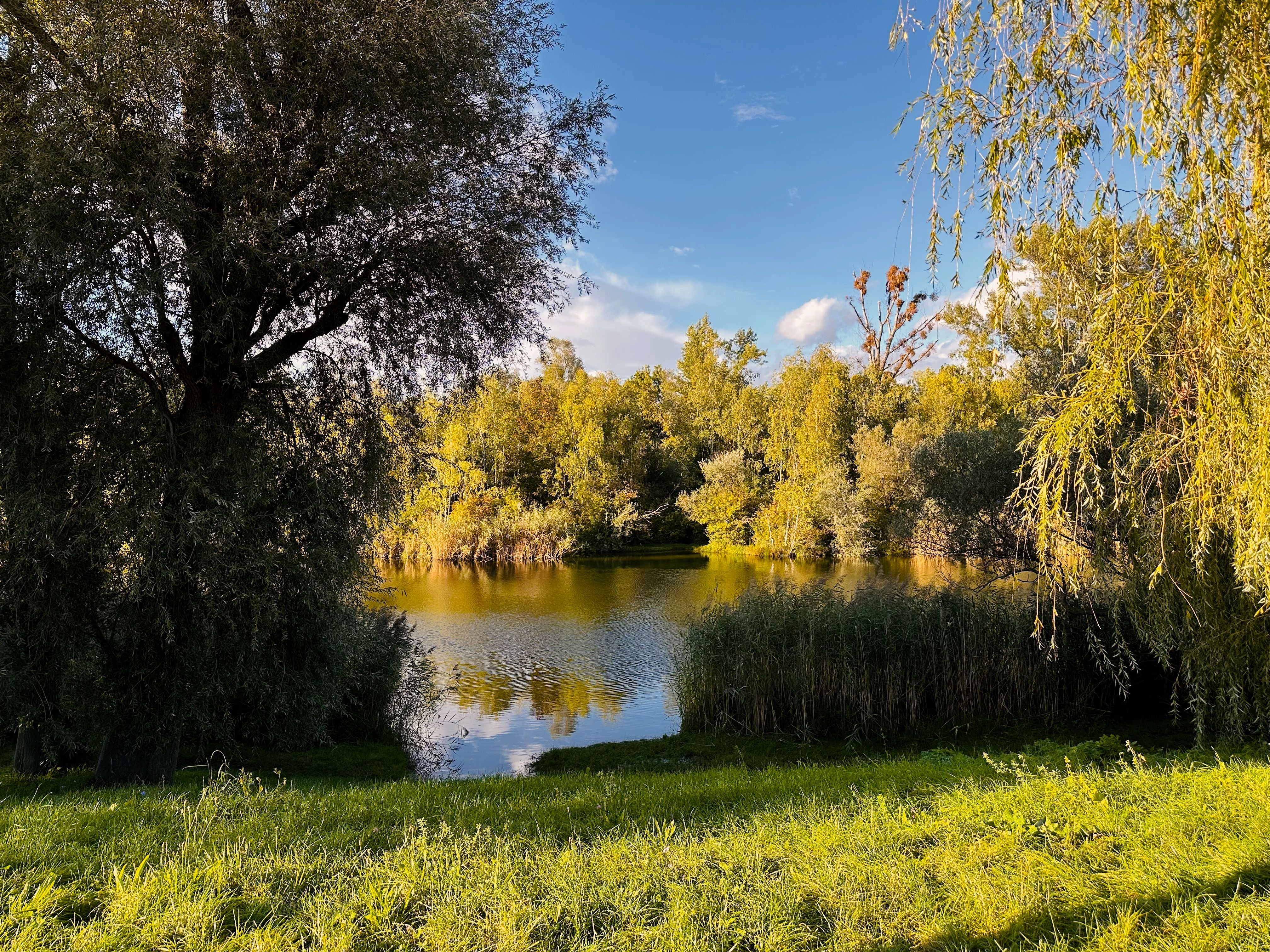 Ruhiger Fluss mit grünen Bäumen und Wiesen, sonniges Spätsommerlicht, Spiegelung im Wasser.