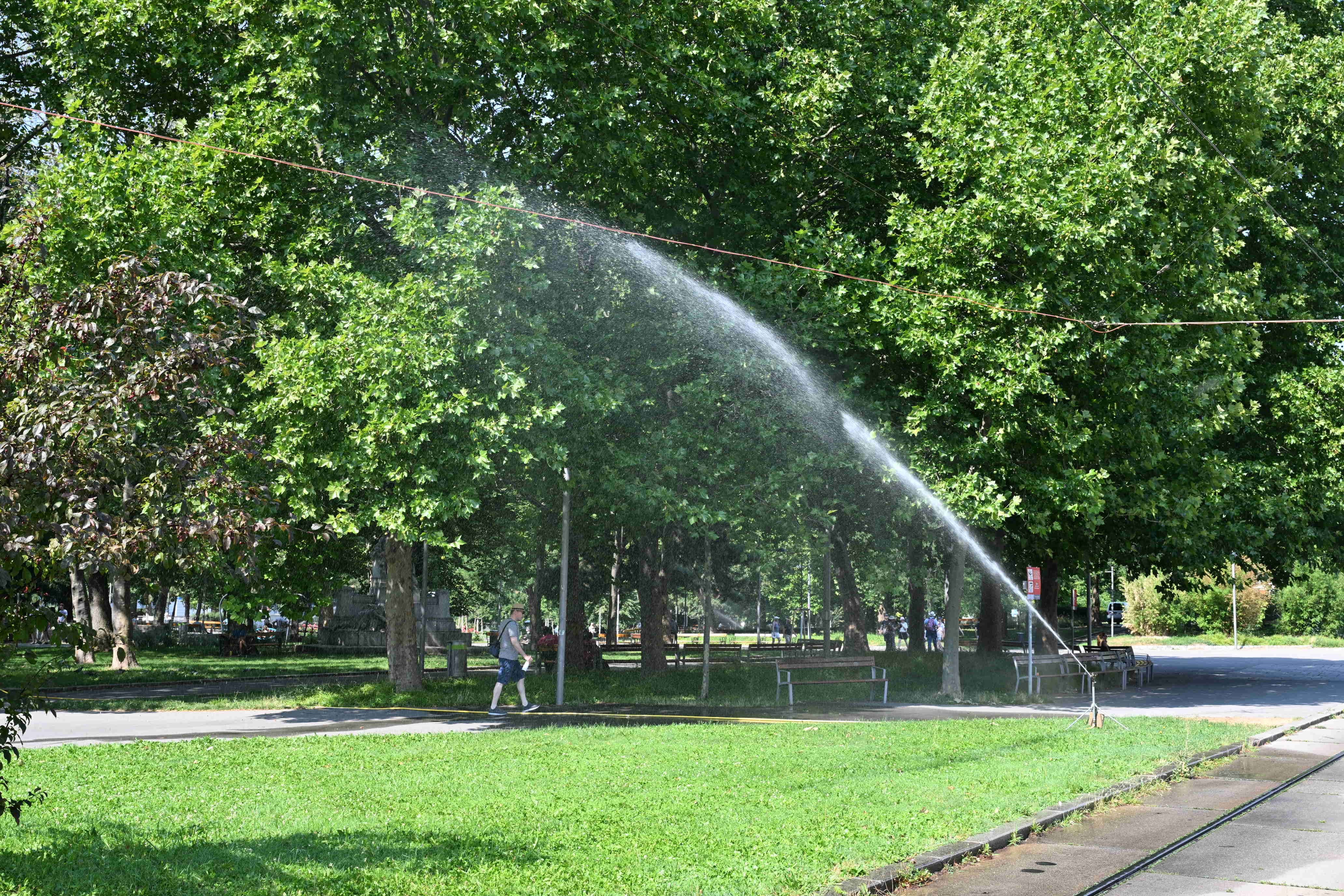 Wasserstrahl bewässert die Grünfläche im Park am heißen Tag am Karlsplatz in Wien.