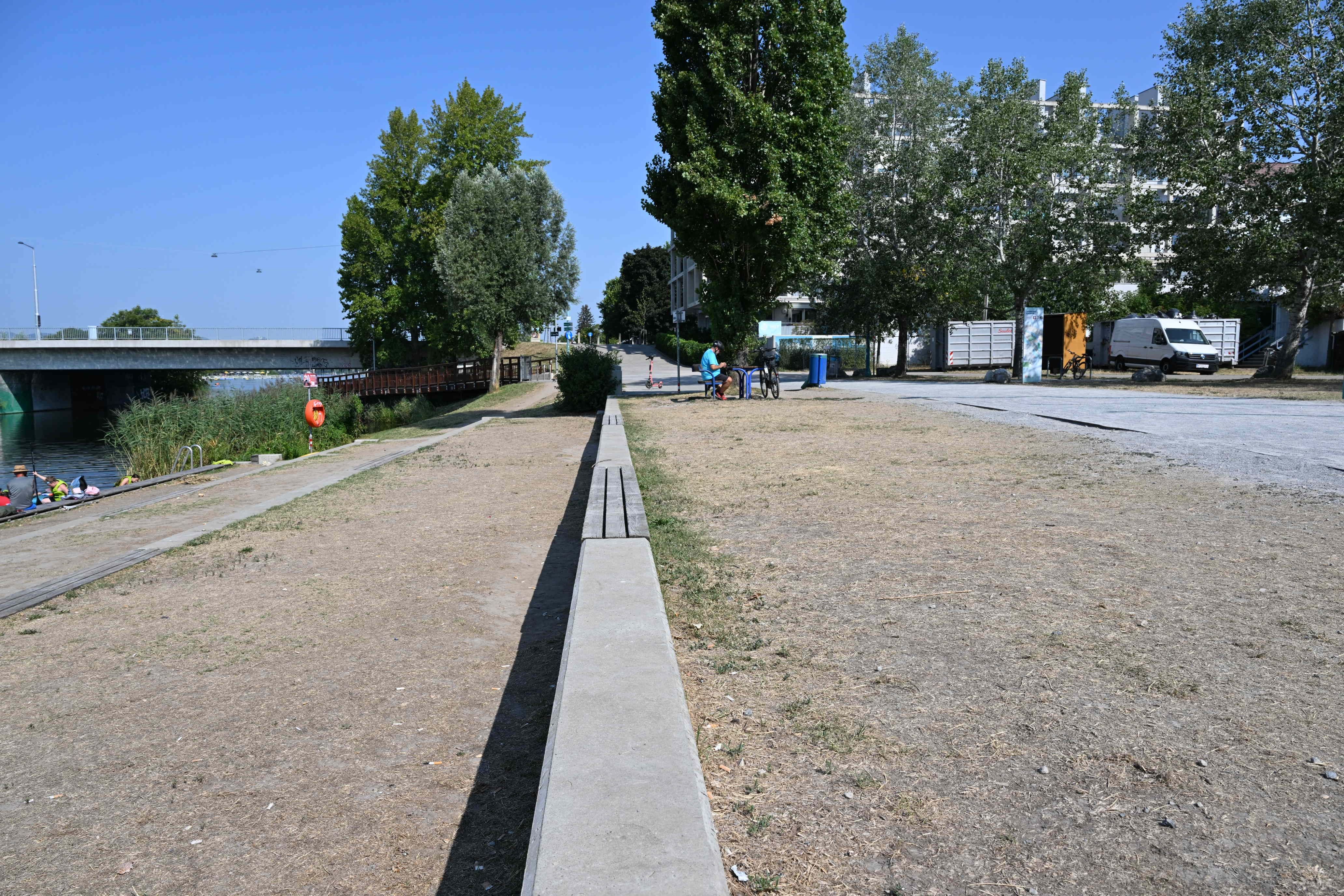 Trockene Wiese an der alten Donau in Wien mit wenigen Bäumen und einer Bank in der Mitte.