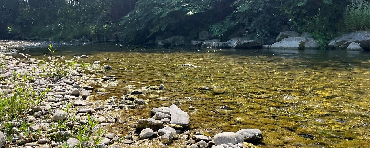 Flacher Fluss mit klarem Wasser, Kieselsteinen und etwas Grün am Ufer.