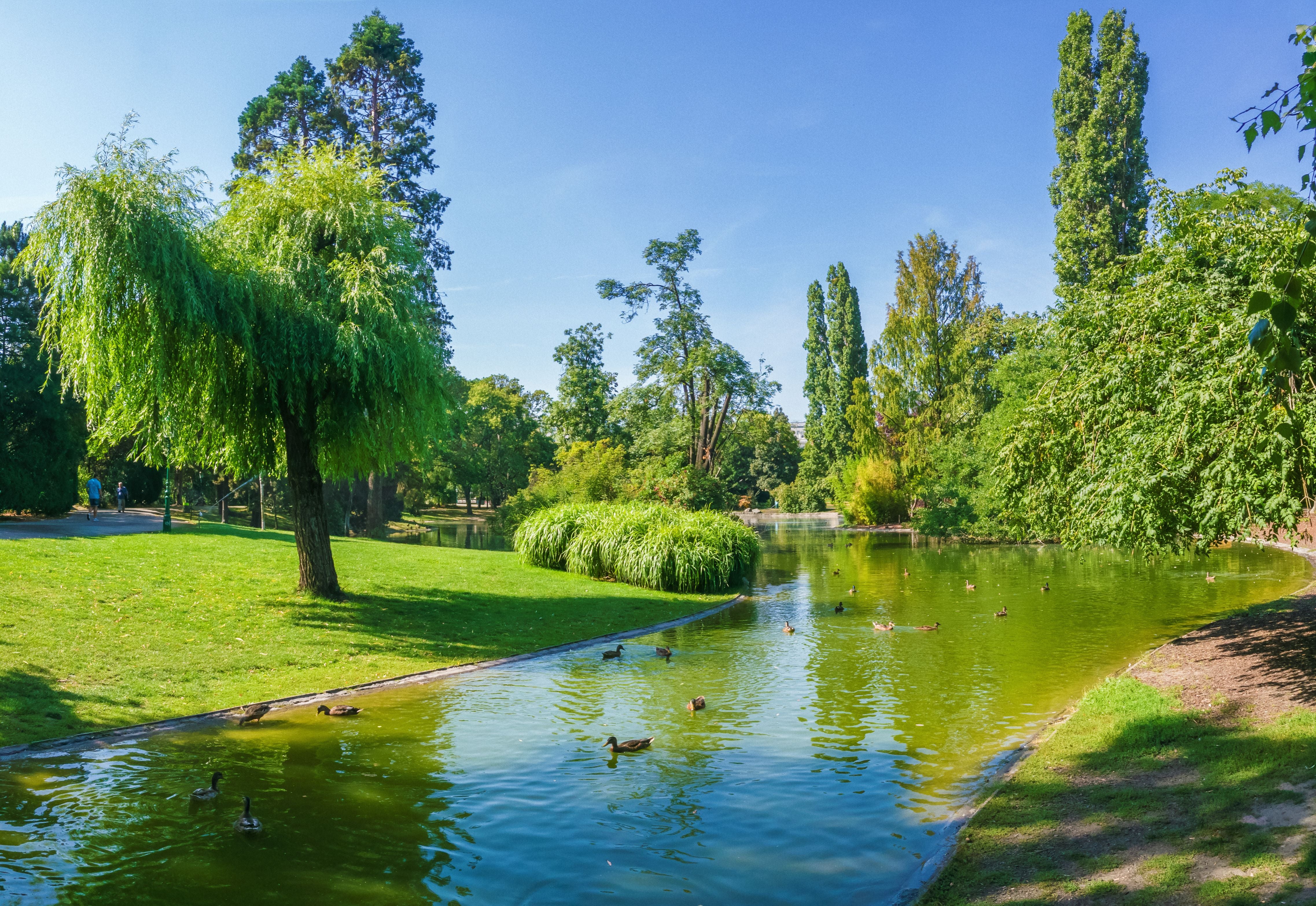 Grüner Park in Wien mit Teich, Enten und vielen Bäumen an einem sonnigen Tag.