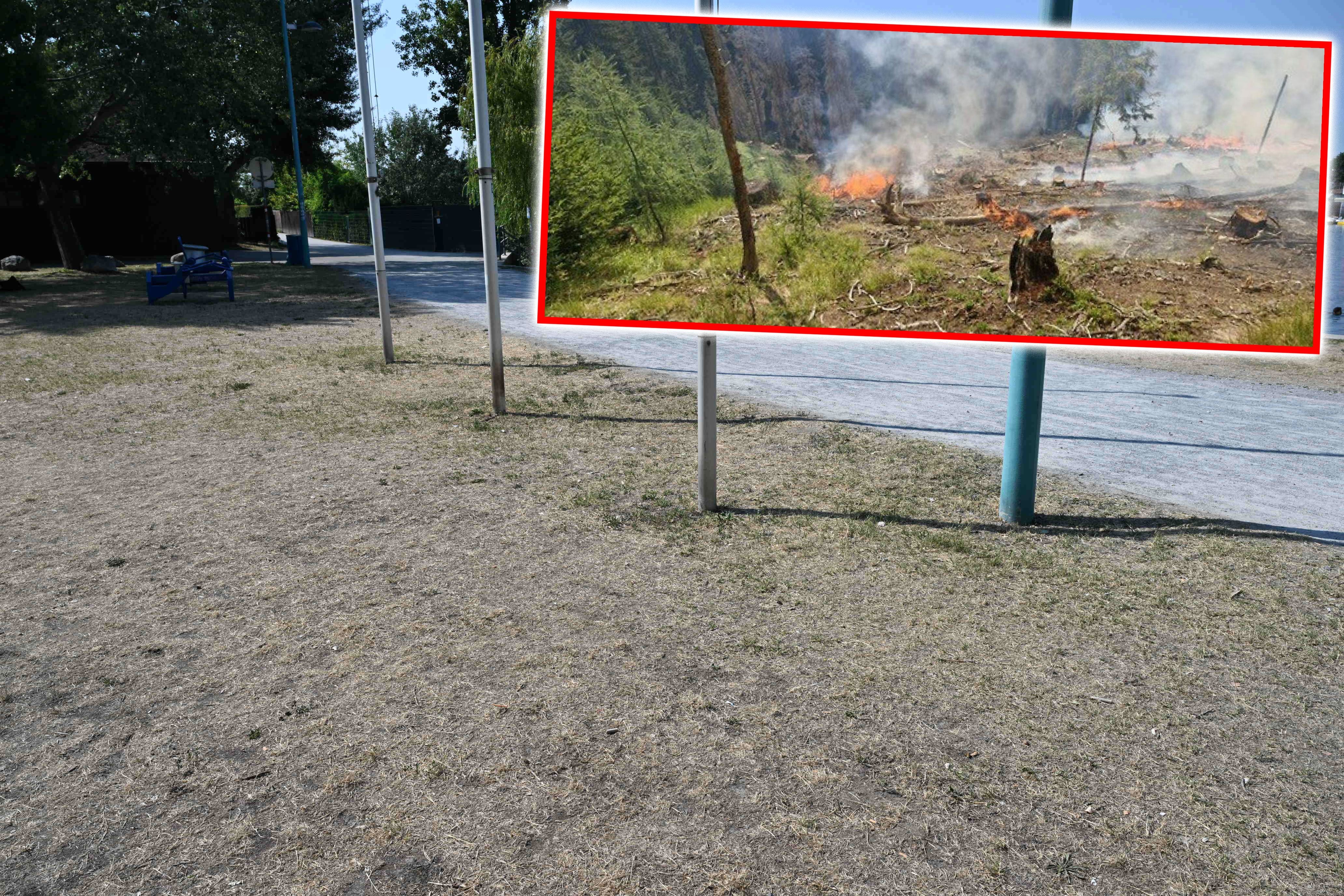 Trockener Parkboden im Vordergrund, oben eingeblendet ein Waldbrand mit Flammen und Rauch.