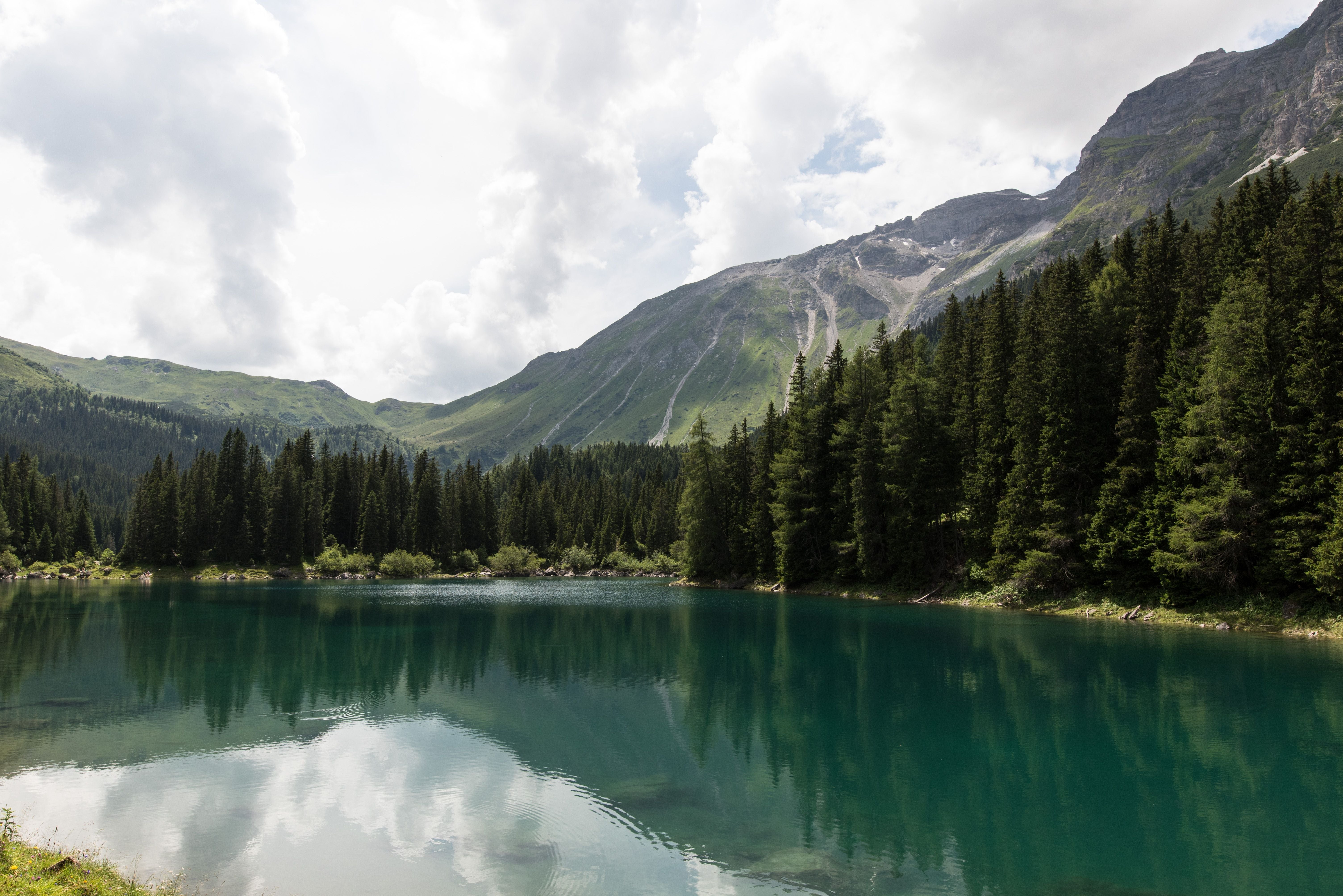 Grüner Bergsee mit umliegenden Tannenwäldern und Bergen im Hintergrund unter bewölktem Himmel.