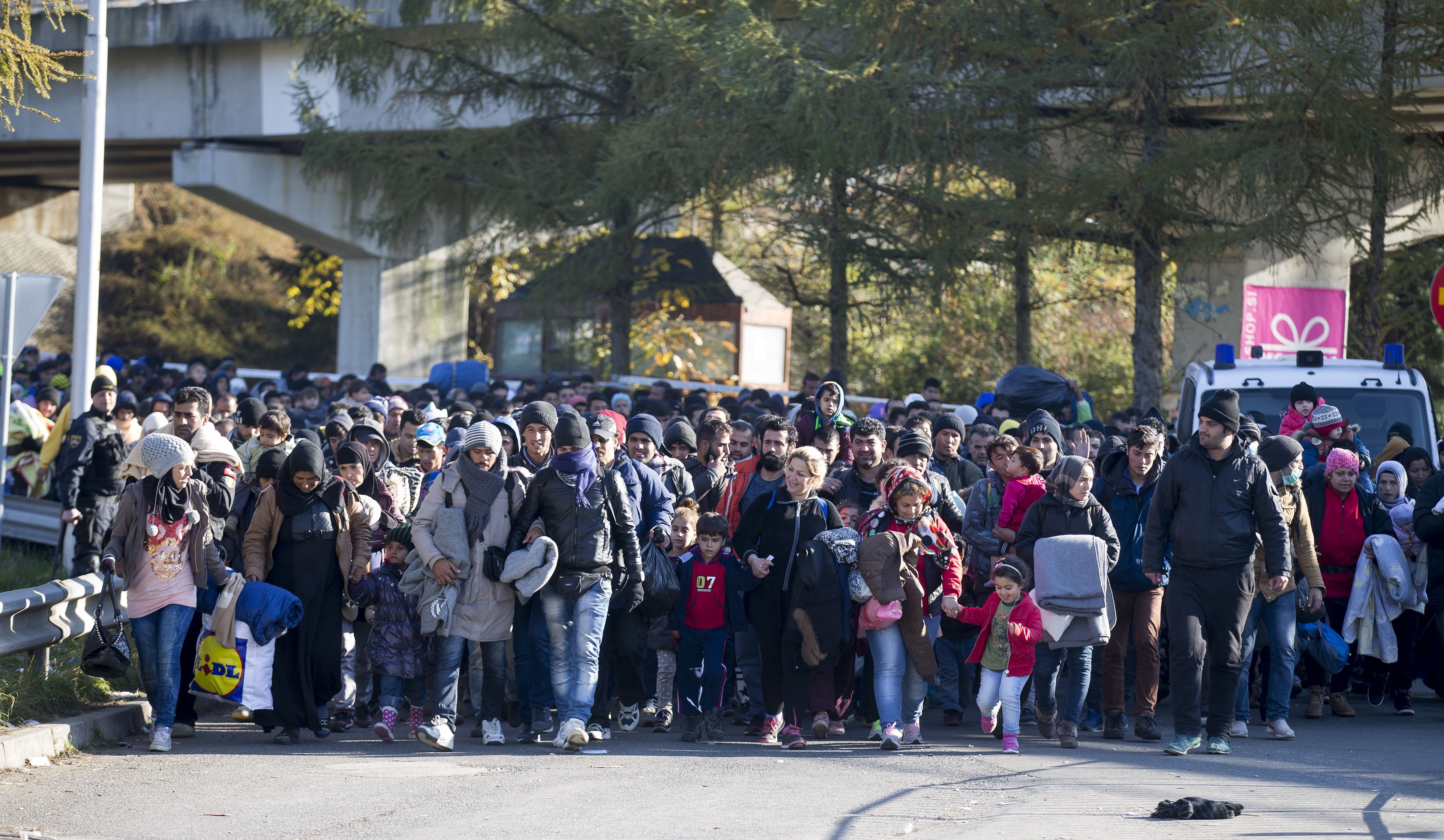 Flüchtlinge am Dienstag, 03. November 2015 an der Österreichisch-Slowenischen Grenze im Gebiet von Spielfeld.