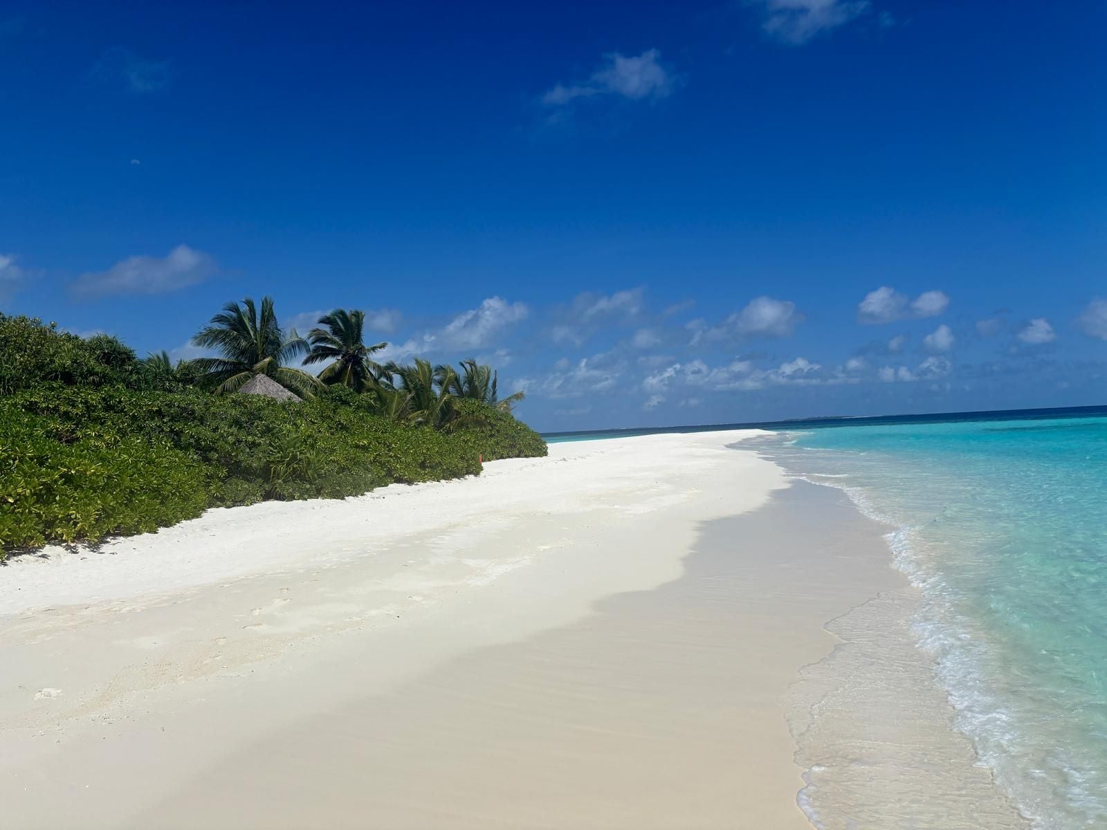 Weißer Sandstrand mit türkisblauem Meer, Palmen und strahlend blauem Himmel.