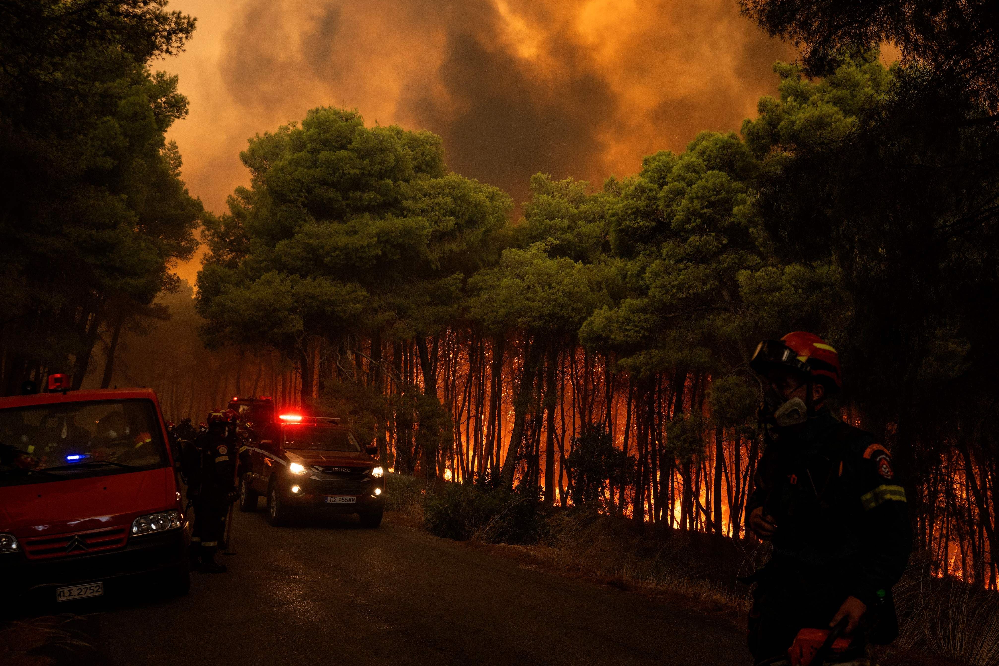 Feuerwehrleute bekämpfen einen Waldbrand bei Porto Germeno, dichtes Feuer und Rauch im Hintergrund.