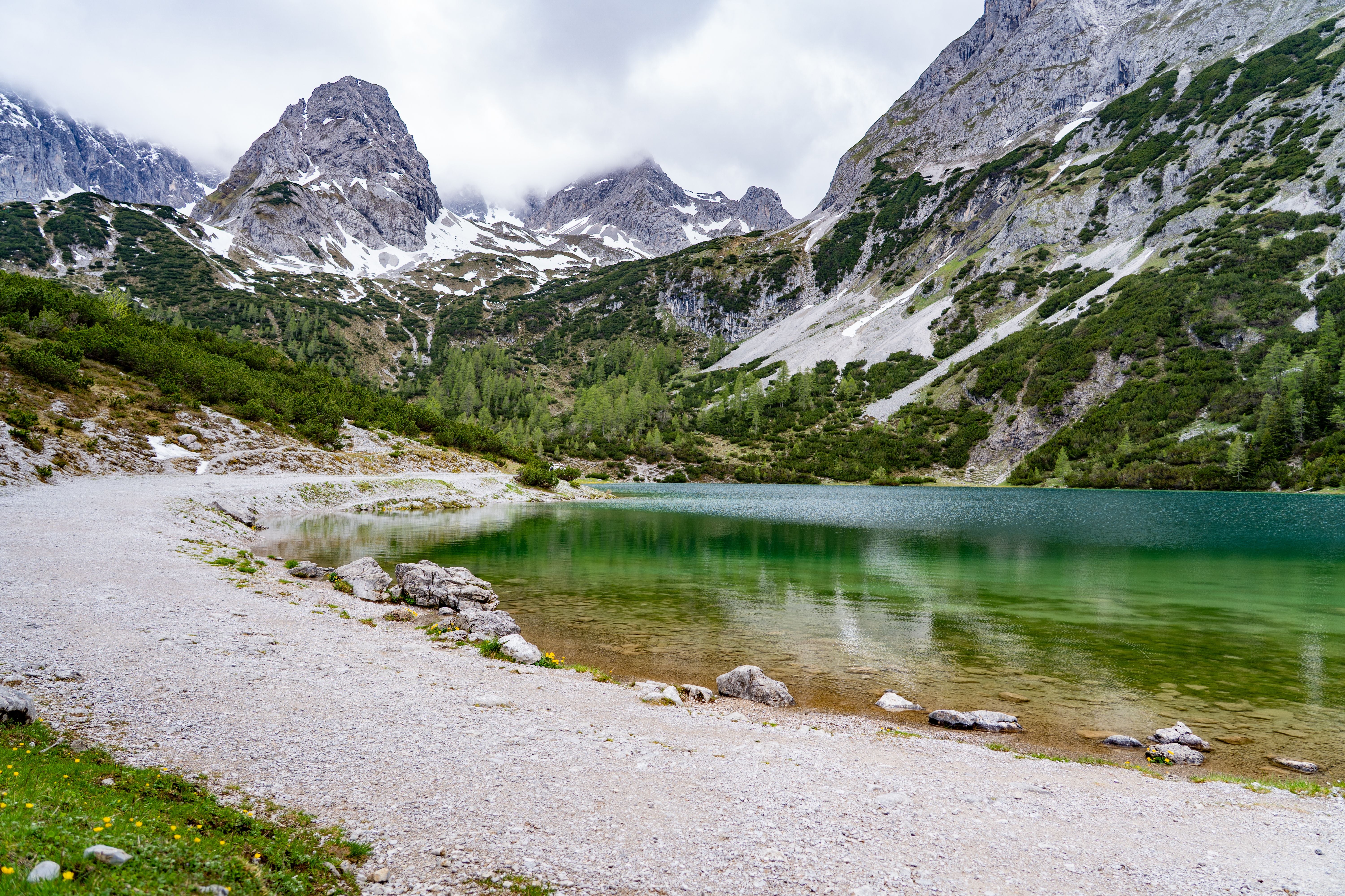Grüner Bergsee Seebensee mit umliegenden bewaldeten Hängen und schneebedeckten Alpen im Hintergrund.