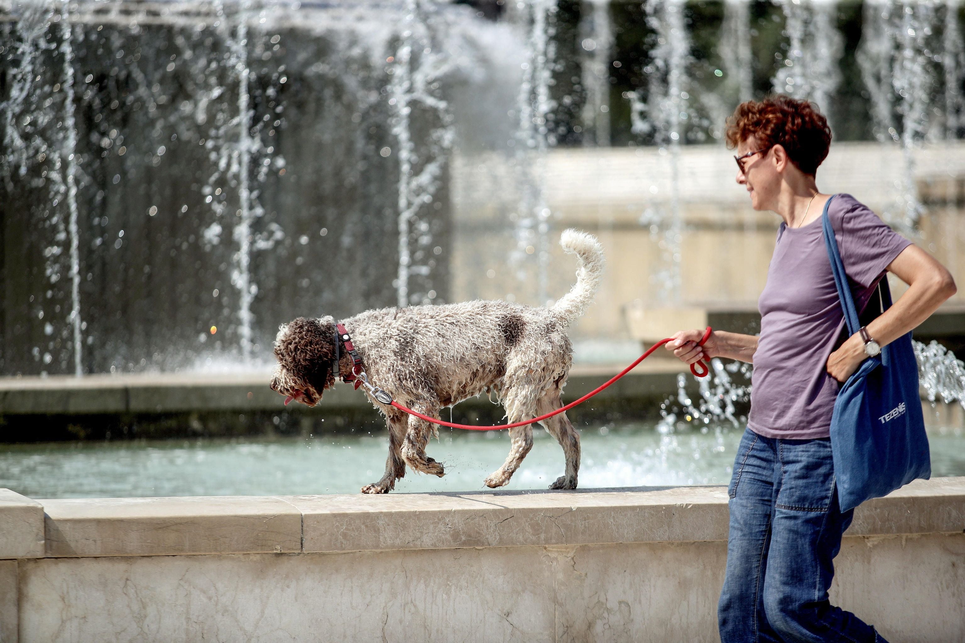 Eine Person führt einen Hund an der Leine an einem Brunnen an einem heißen Sommertag entlang.