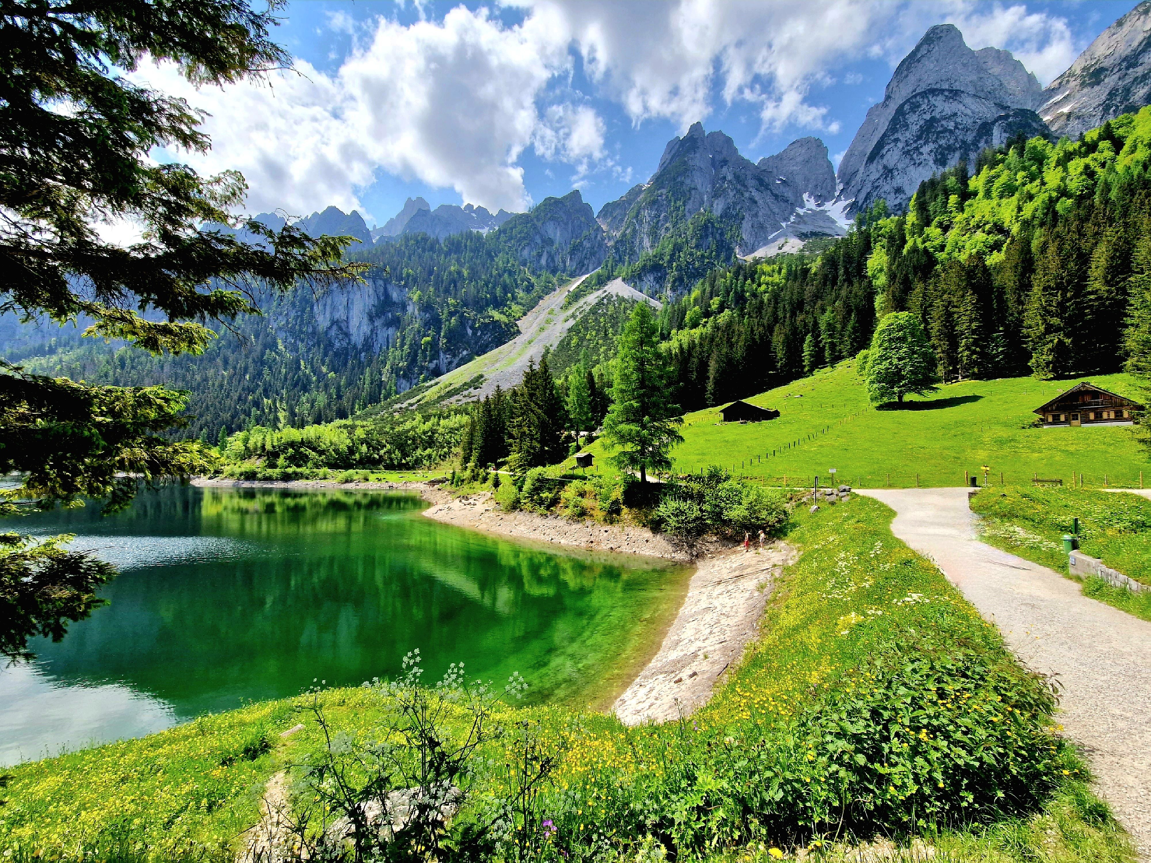 Grüner See mit Wiese, Bäumen und Bergen im Dachsteingebirge bei sonnigem Wetter.