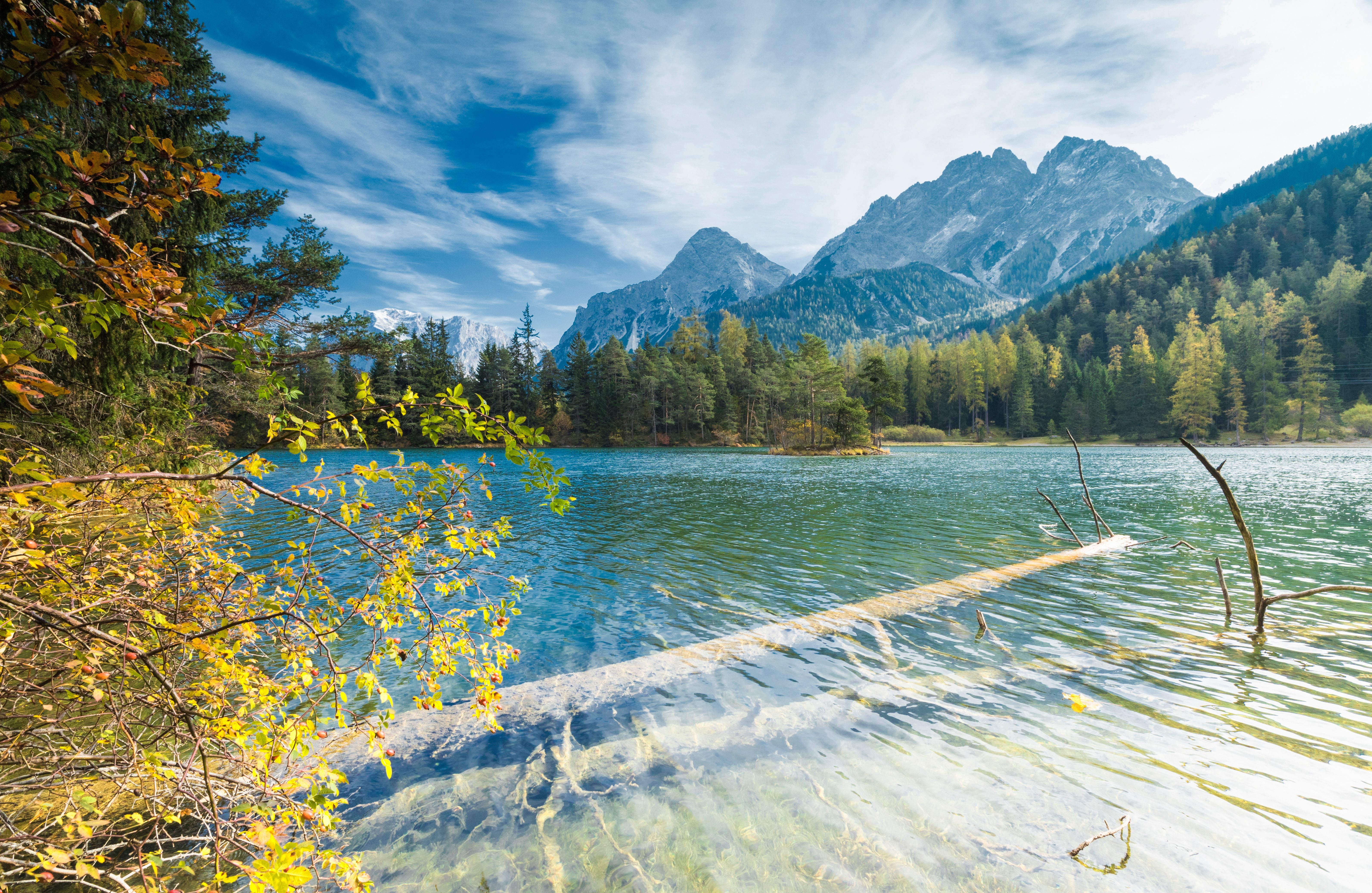 Klarer See mit herbstlichen Ästen, umgeben von Wald und Alpen im Hintergrund, bei Biberwier, Tirol.