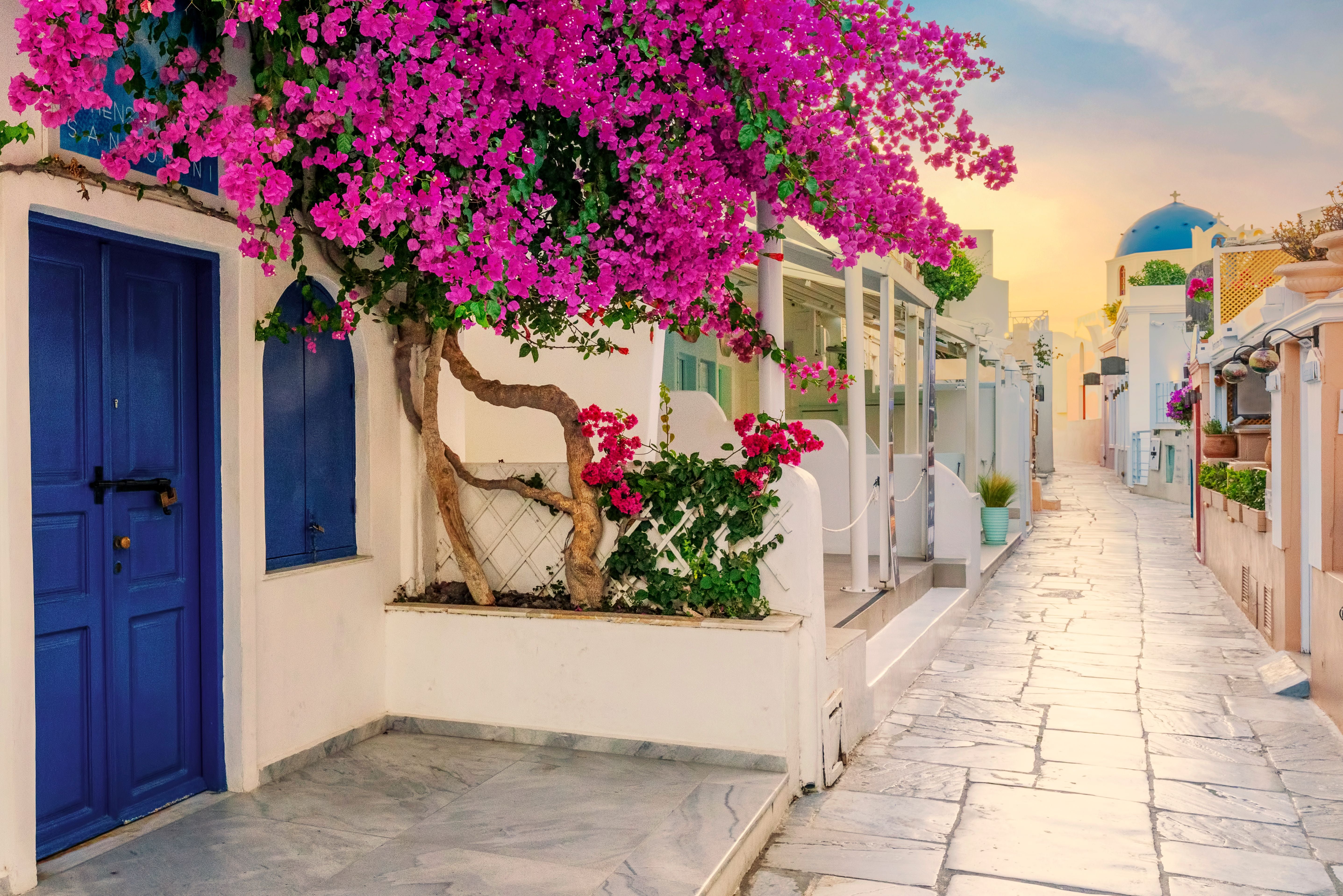 Schmale Gasse in Oia, Santorini, mit weißen Häusern, blauen Türen und rosa Bougainvillea am Morgen.