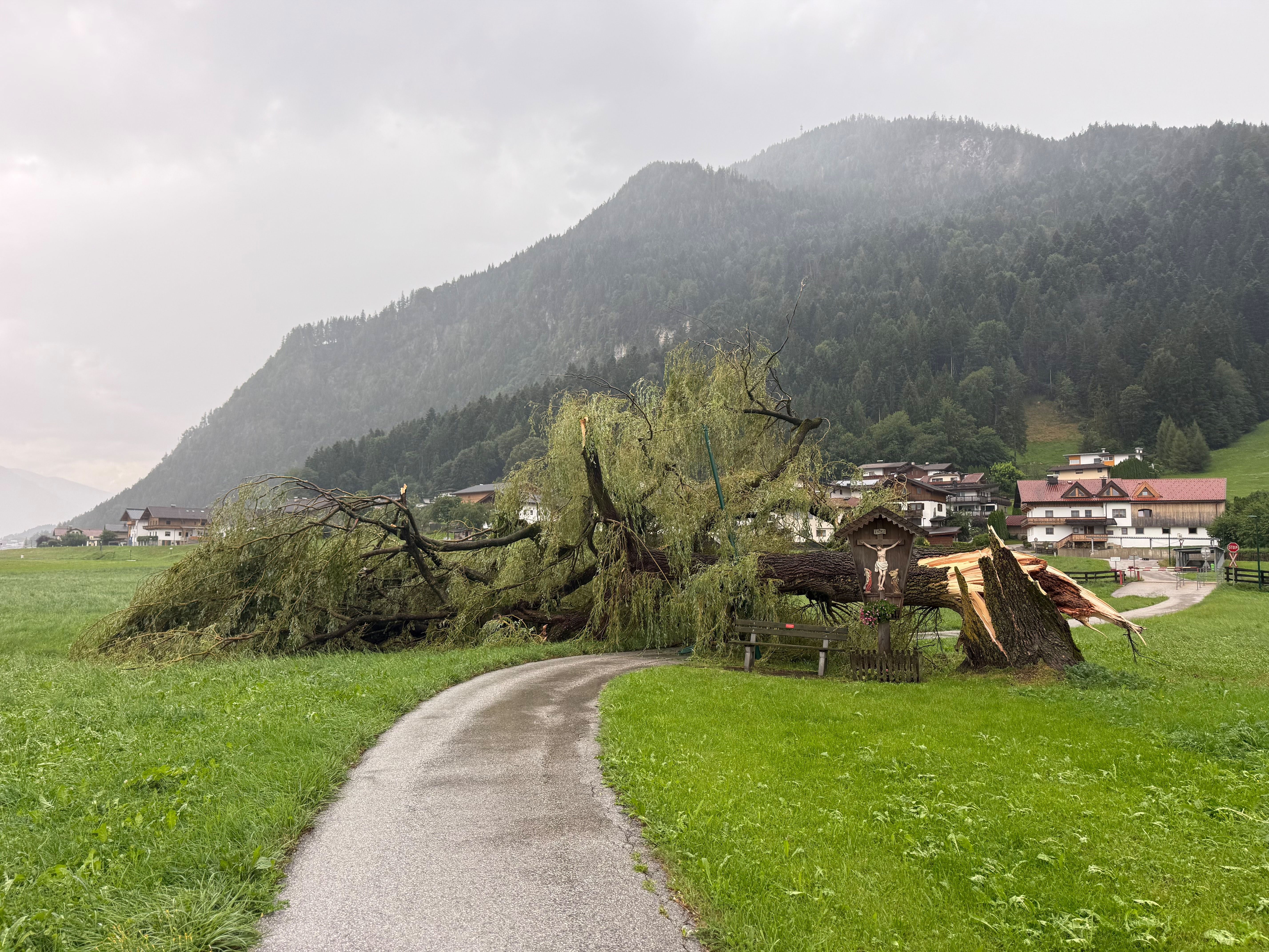 Ein umgestürzter Baum blockiert einen Weg vor einem kleinen Dorf inmitten einer Berglandschaft.
