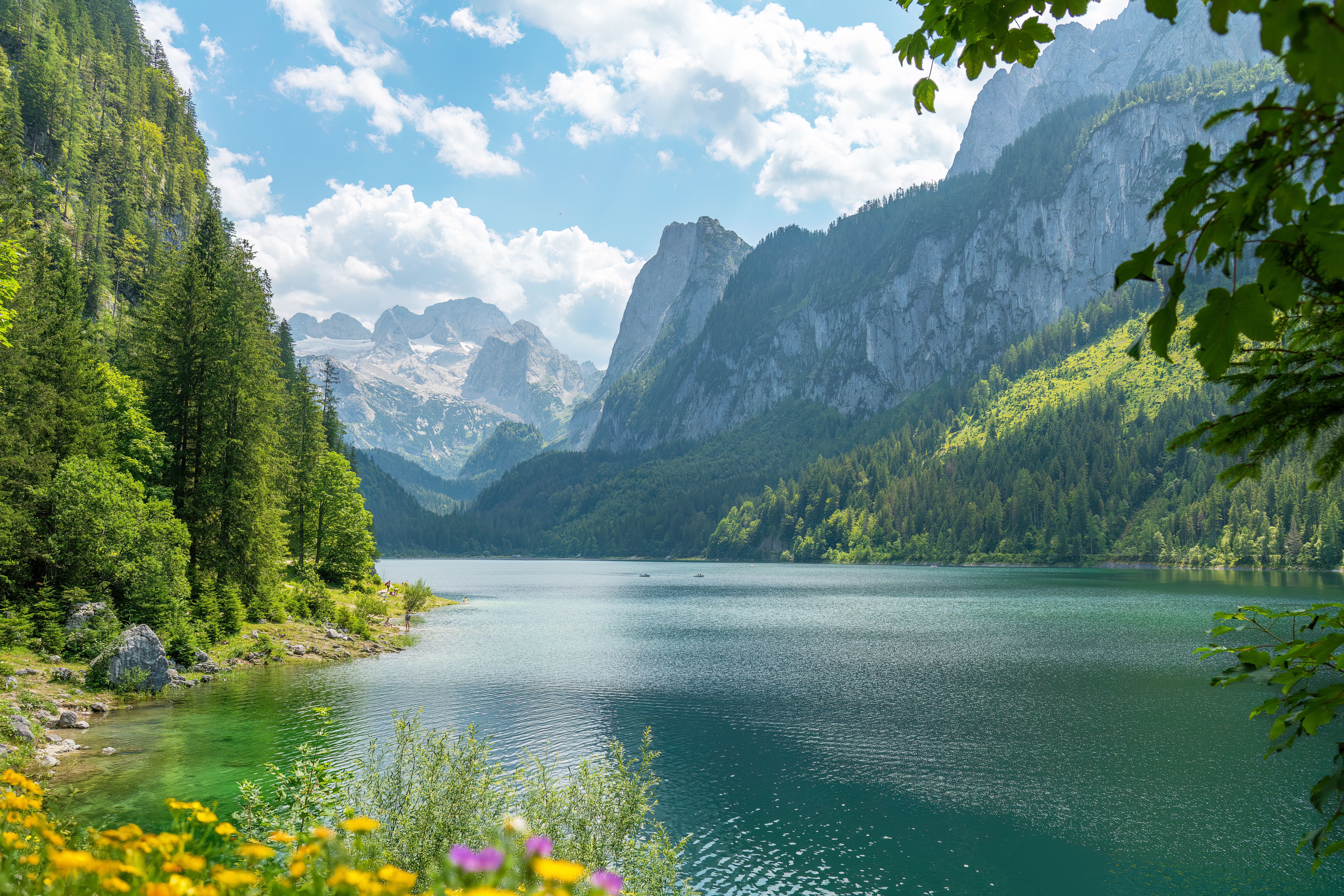 Klarer Alpensee Gosausee, umgeben von Bergen, Wäldern und blühenden Blumen im Vordergrund.