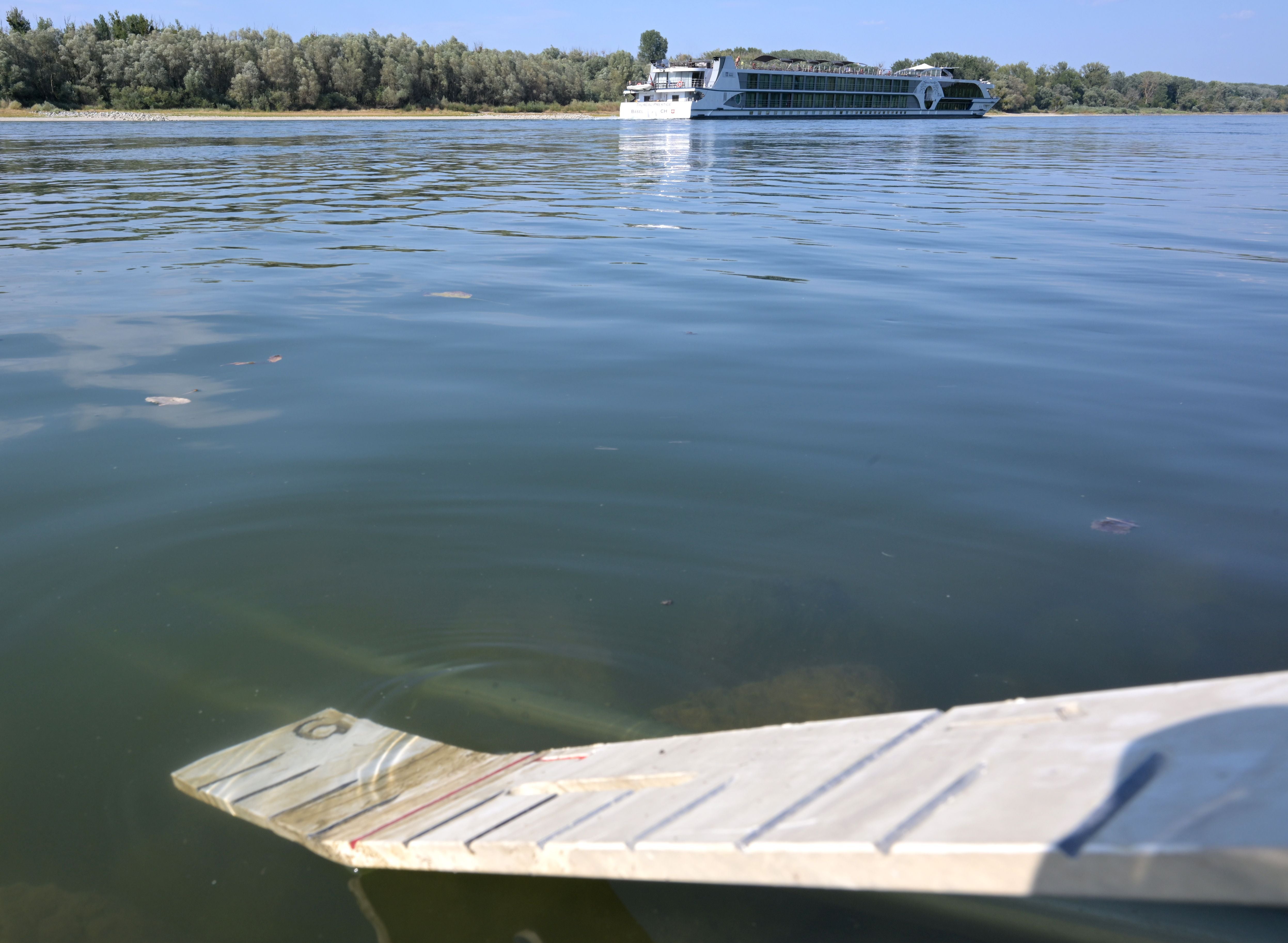Ein Messstab im Wasser zeigt den niedrigen Pegelstand der Donau, im Hintergrund ein Passagierschiff.