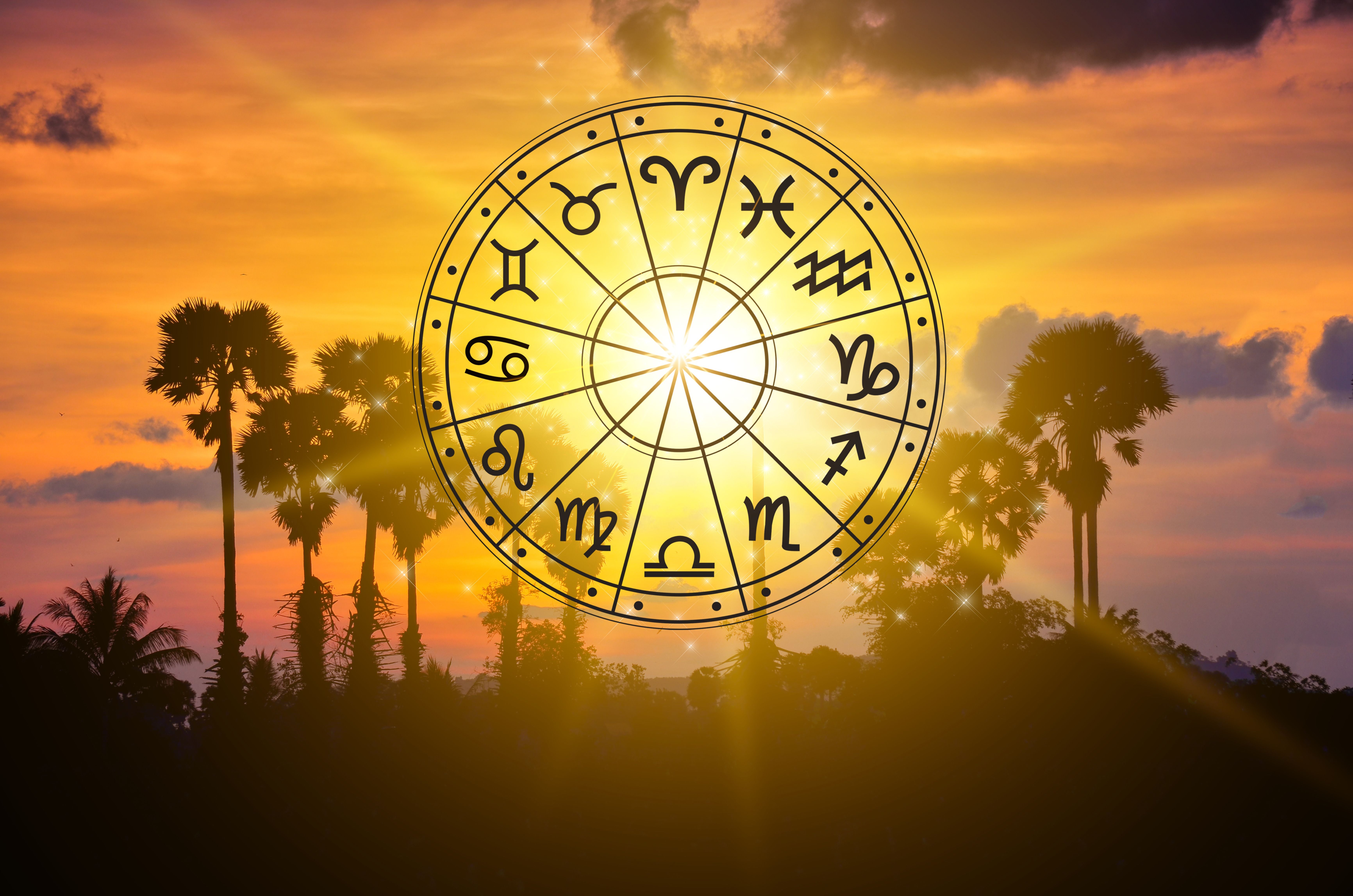 Tierkreiszeichen im Horoskopkreis vor Sonnenuntergang und Palmen im Hintergrund.