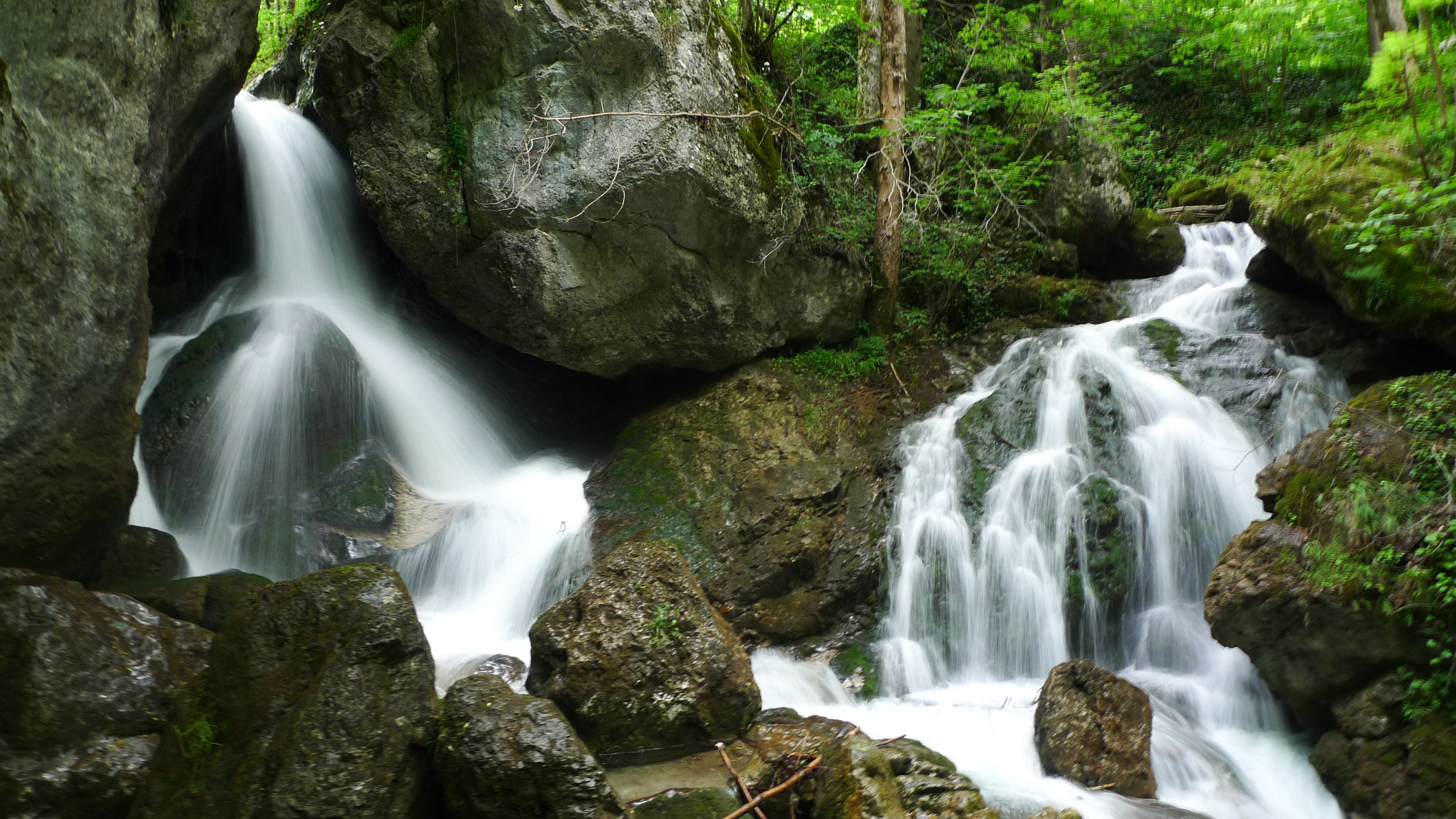 Zweigeteilter Wasserfall fließt über moosbedeckte Felsen im grünen Wald.