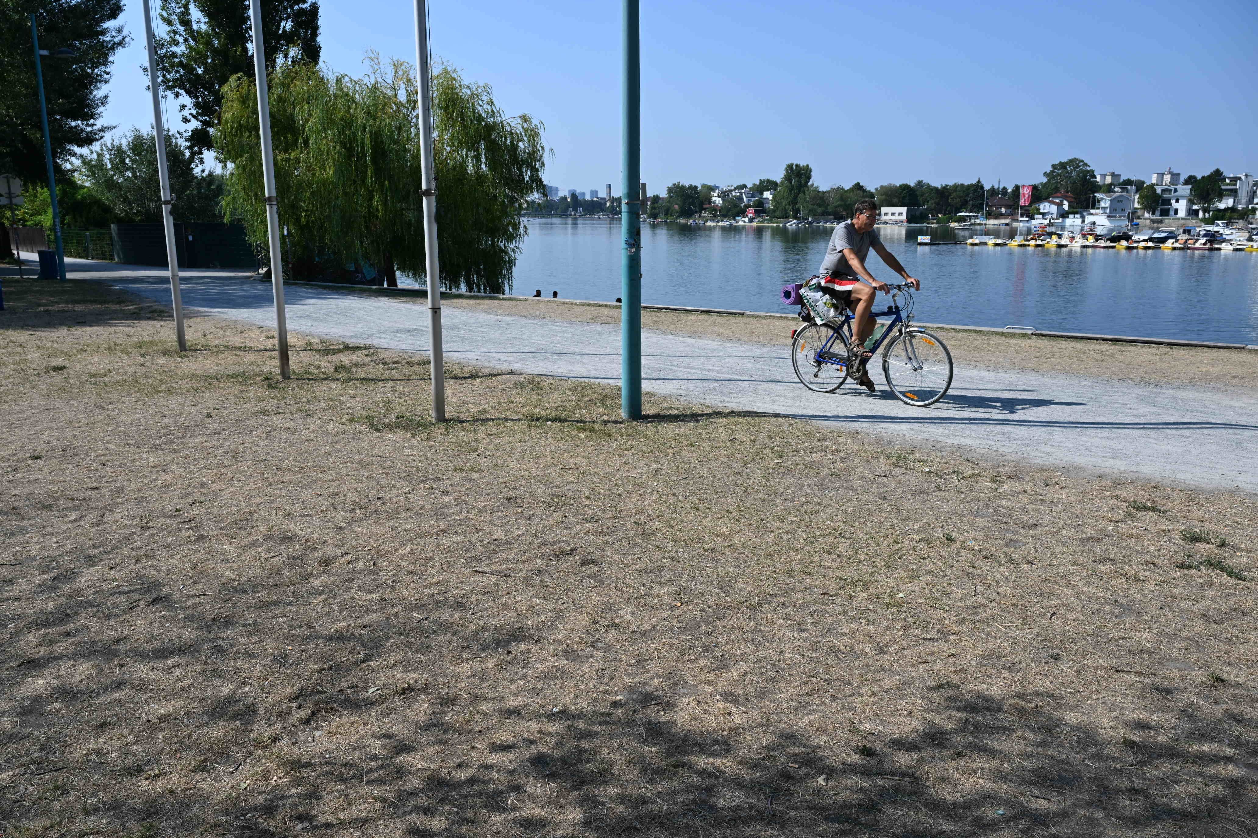 Mann fährt Fahrrad an der alten Donau in Wien, das Gras ist trocken und braun.
