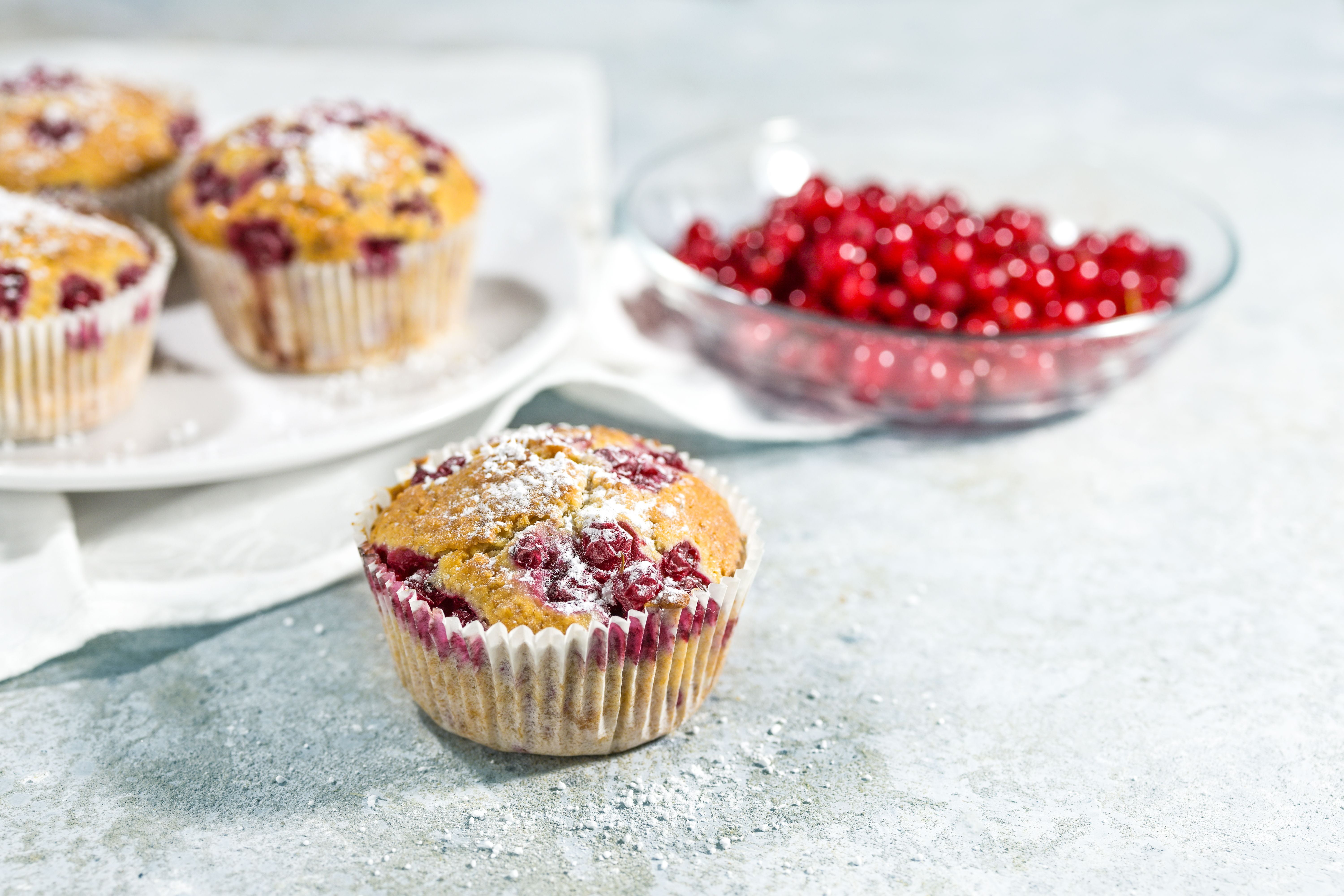 Johannisbeer-Muffins mit Puderzucker, im Vordergrund ein Muffin, im Hintergrund rote Johannisbeeren.