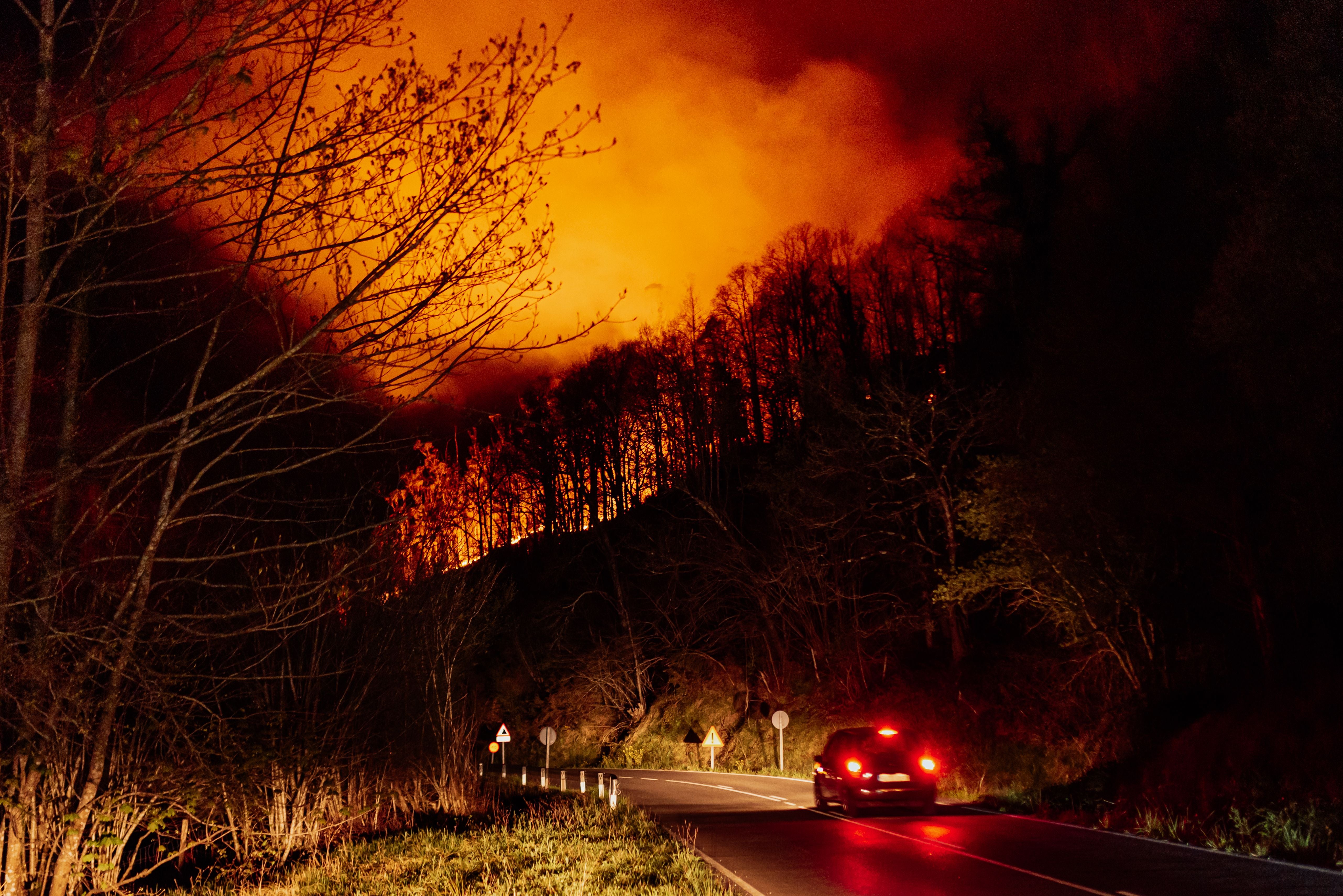 Ein Auto fährt nachts auf einer Straße, während im Hintergrund ein Waldbrand lodert.