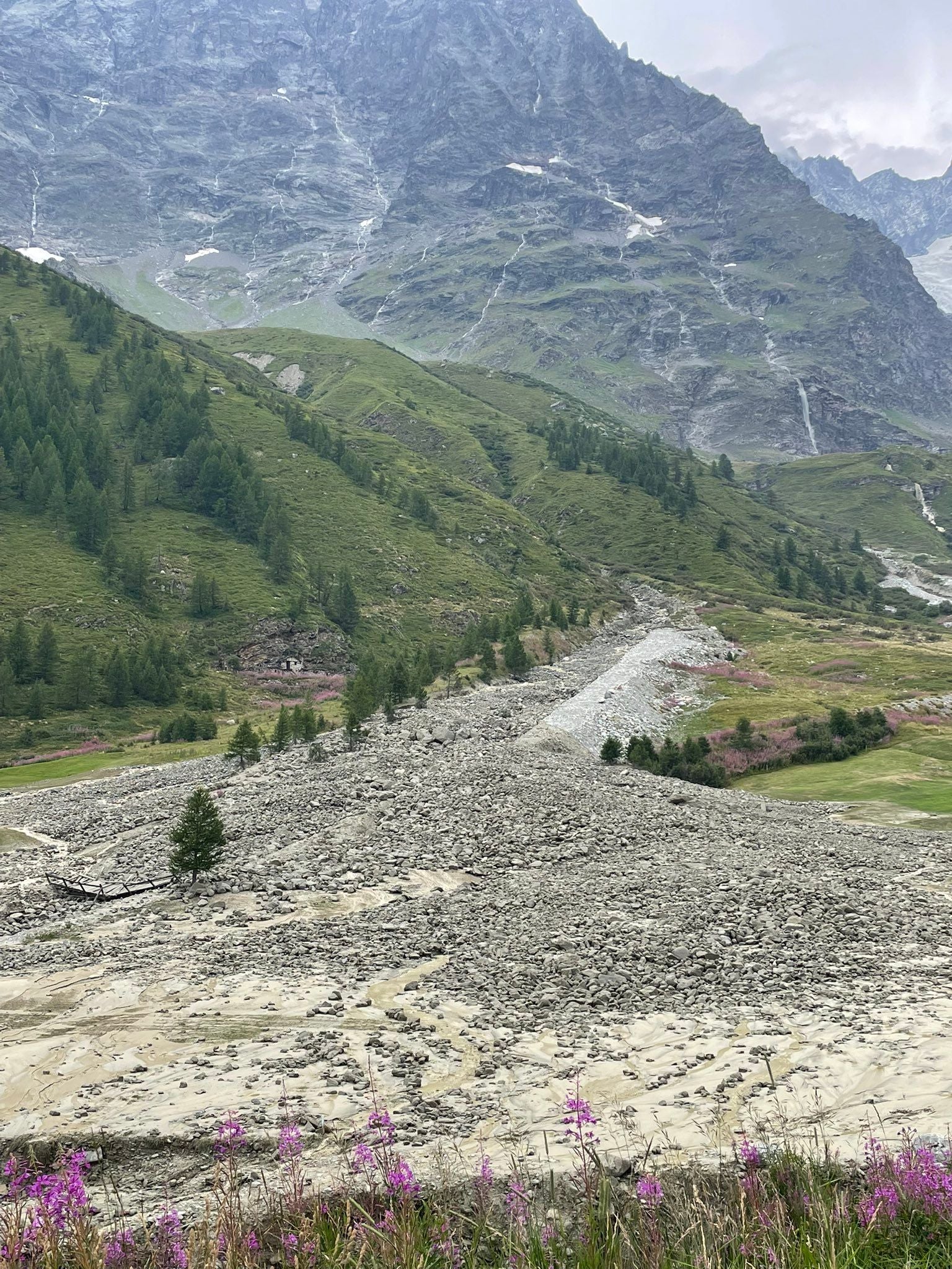 Steiniger Berghang mit Geröllfeld, grünem Hang und violetten Wildblumen im Vordergrund.
