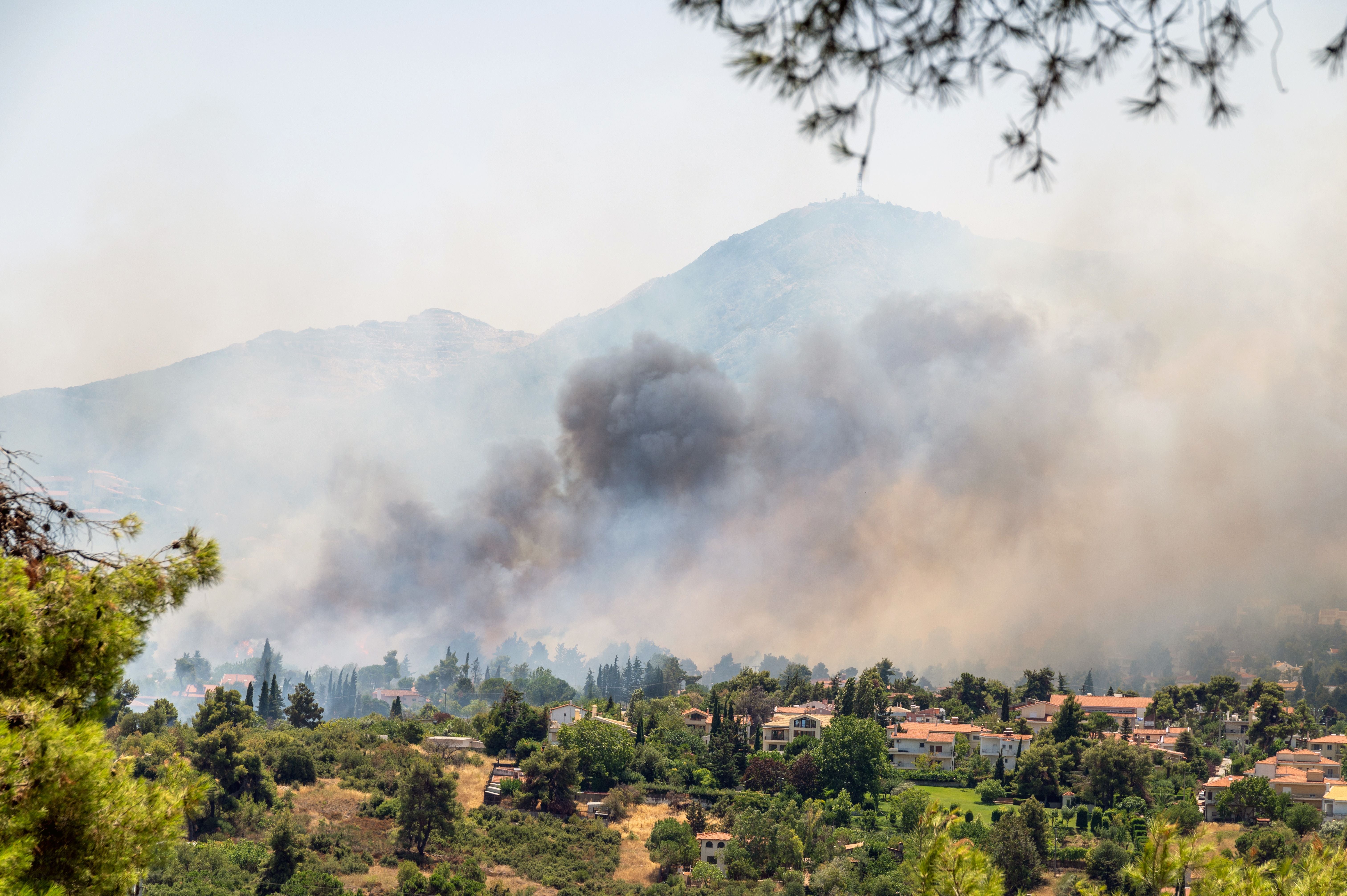 Dichter Rauch eines Waldbrands steigt in einem Wohngebiet am Stadtrand von Athen auf.