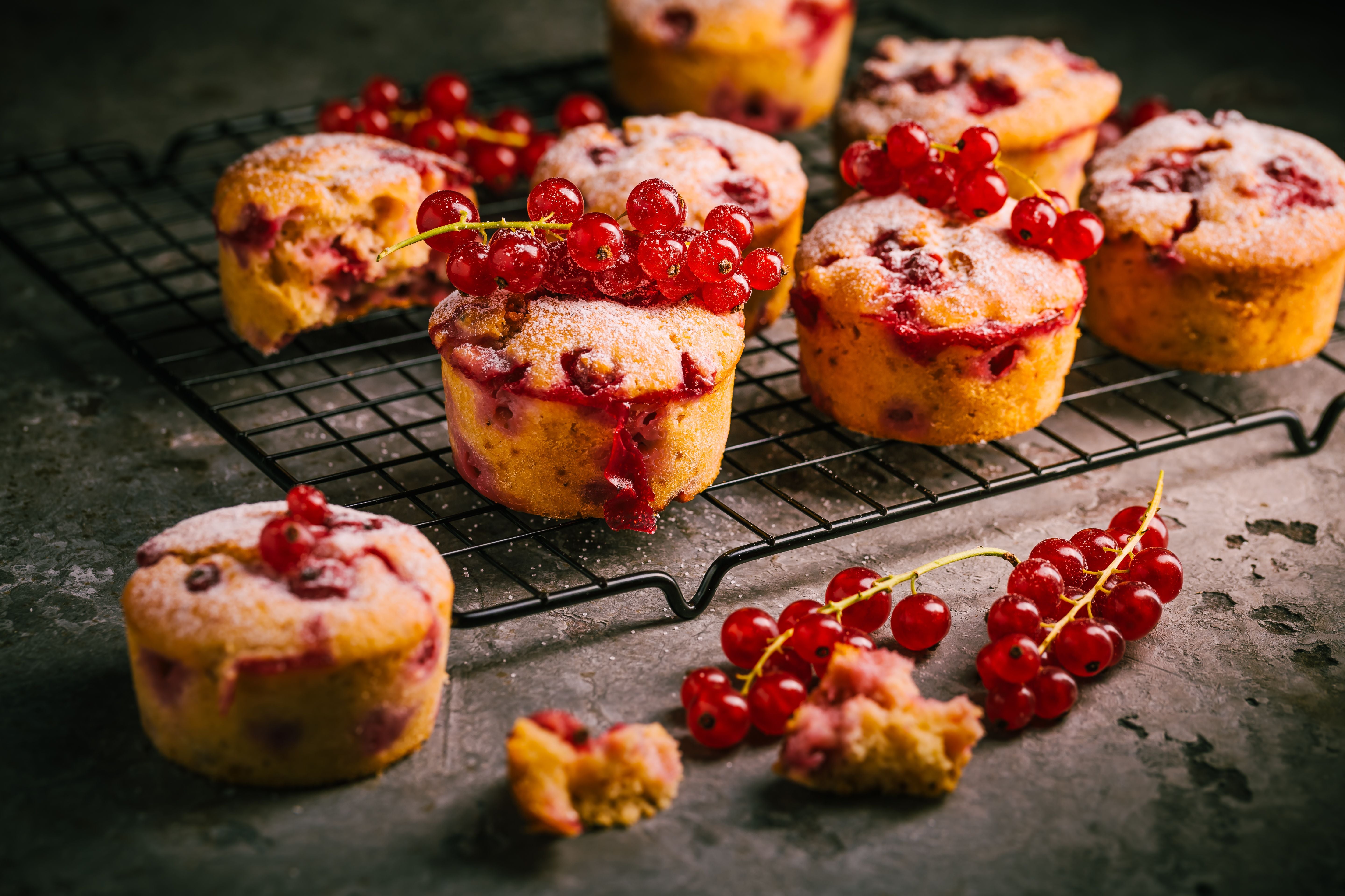 Hausgemachte Muffins mit roten Johannisbeeren auf einem Gitterrost, garniert mit Puderzucker.