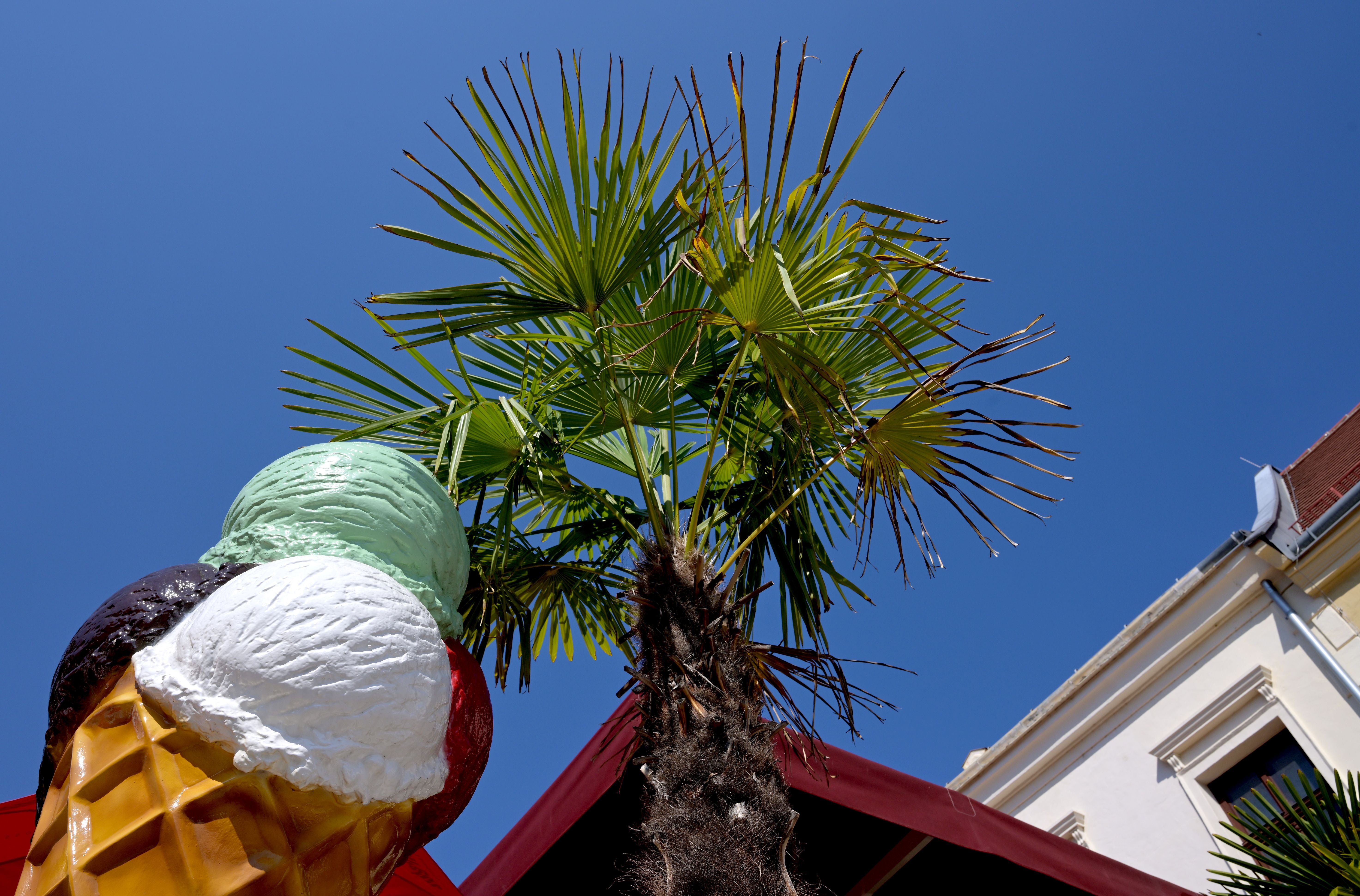 Große Eiswaffel-Skulptur vor einer Palme und blauem Himmel in Eisenstadt an einem Sommertag.