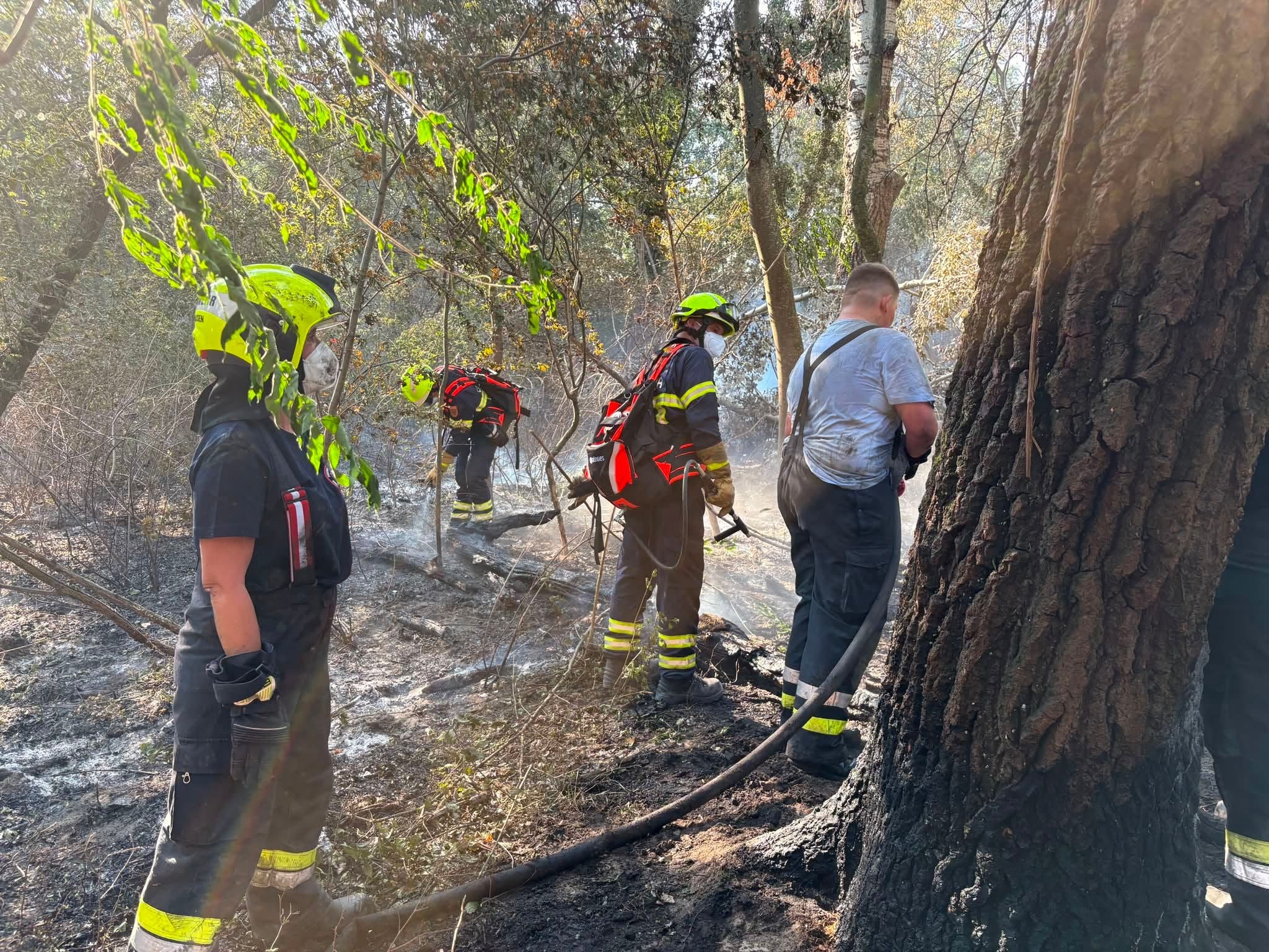 Feuerwehrleute löschen einen Vegetationsbrand im Waldgebiet der Lobau.
