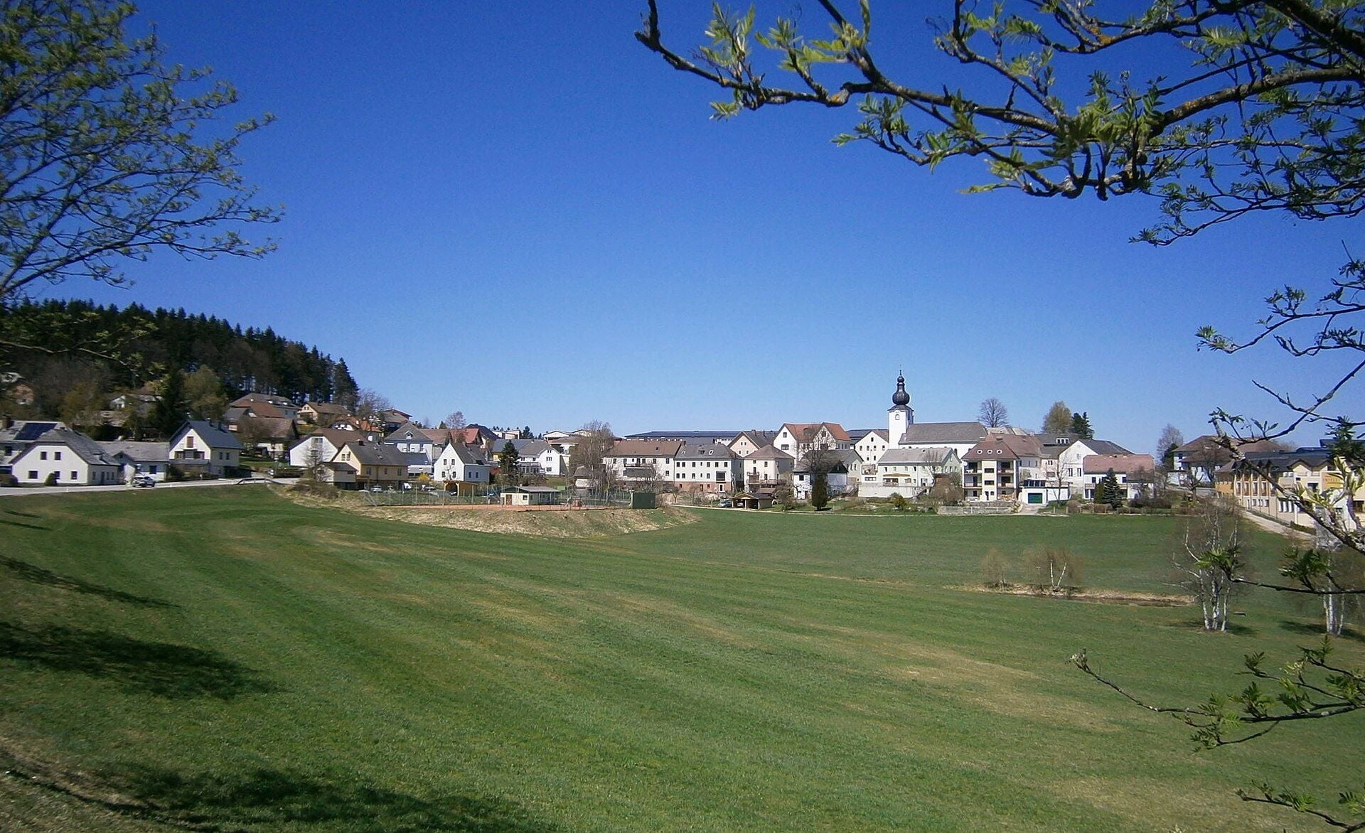 Blick auf das Dorf Liebenau mit Wiesen im Vordergrund und einer Kirche im Zentrum.