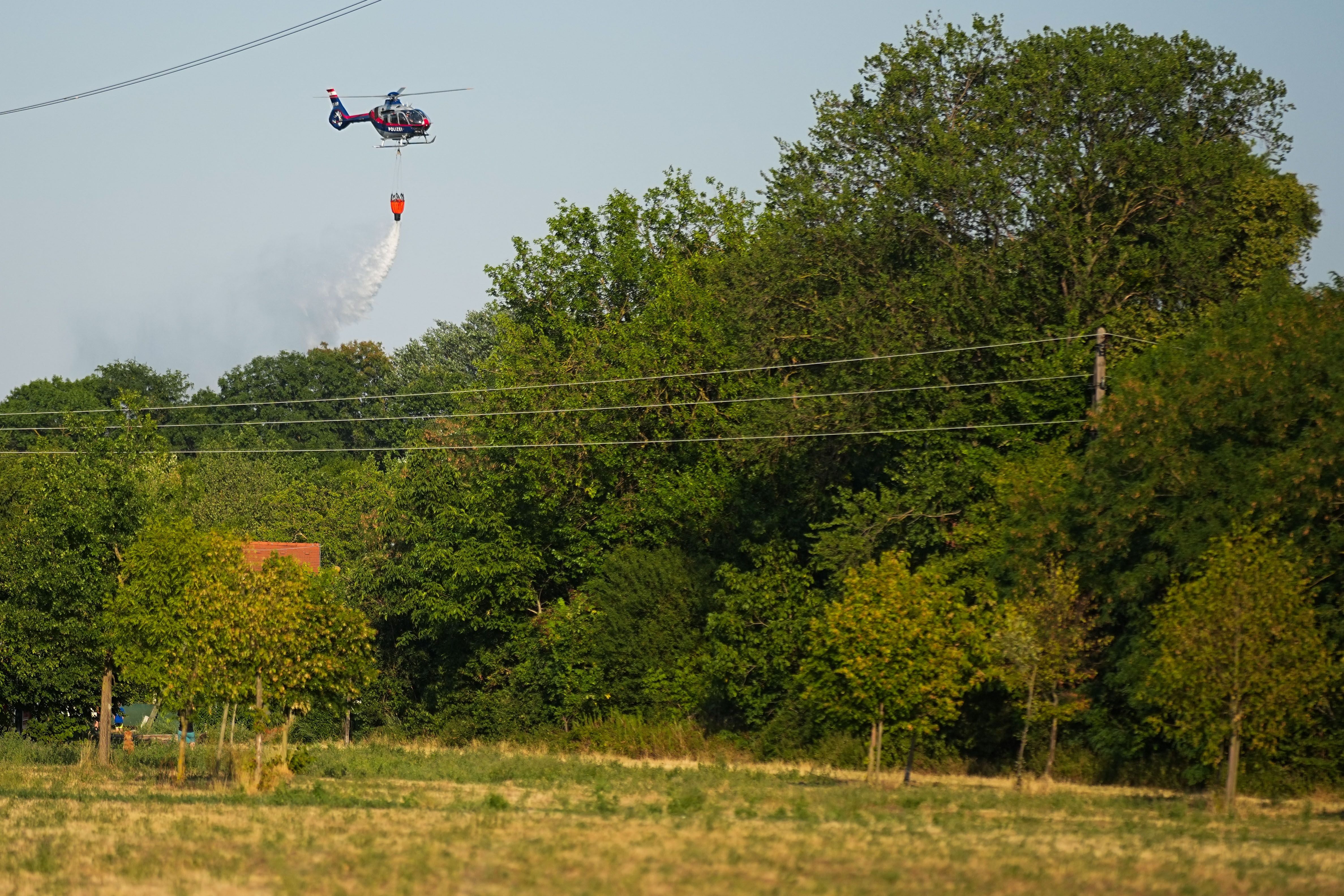 Ein Polizeihubschrauber löscht mit Wasser einen Waldbrand bei Tageslicht nahe einer Baumreihe.