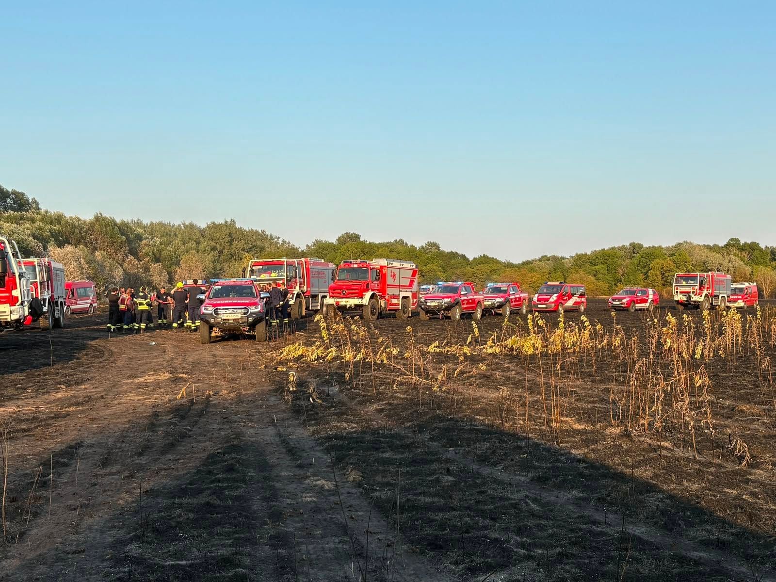 Mehrere Feuerwehrfahrzeuge und Einsatzkräfte auf einem abgebrannten Feld nach einem Vegetationsbrand.