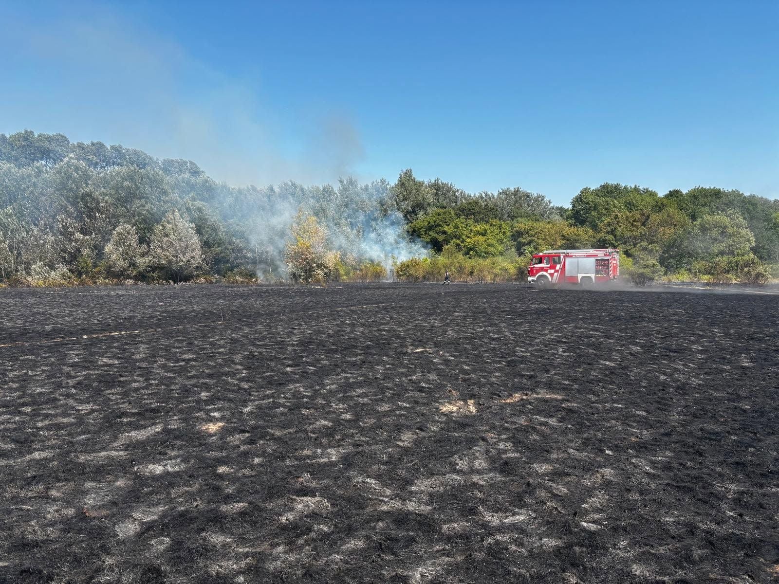 Ein verbranntes Feld mit Rauch, im Hintergrund ein Feuerwehrfahrzeug vor Bäumen.