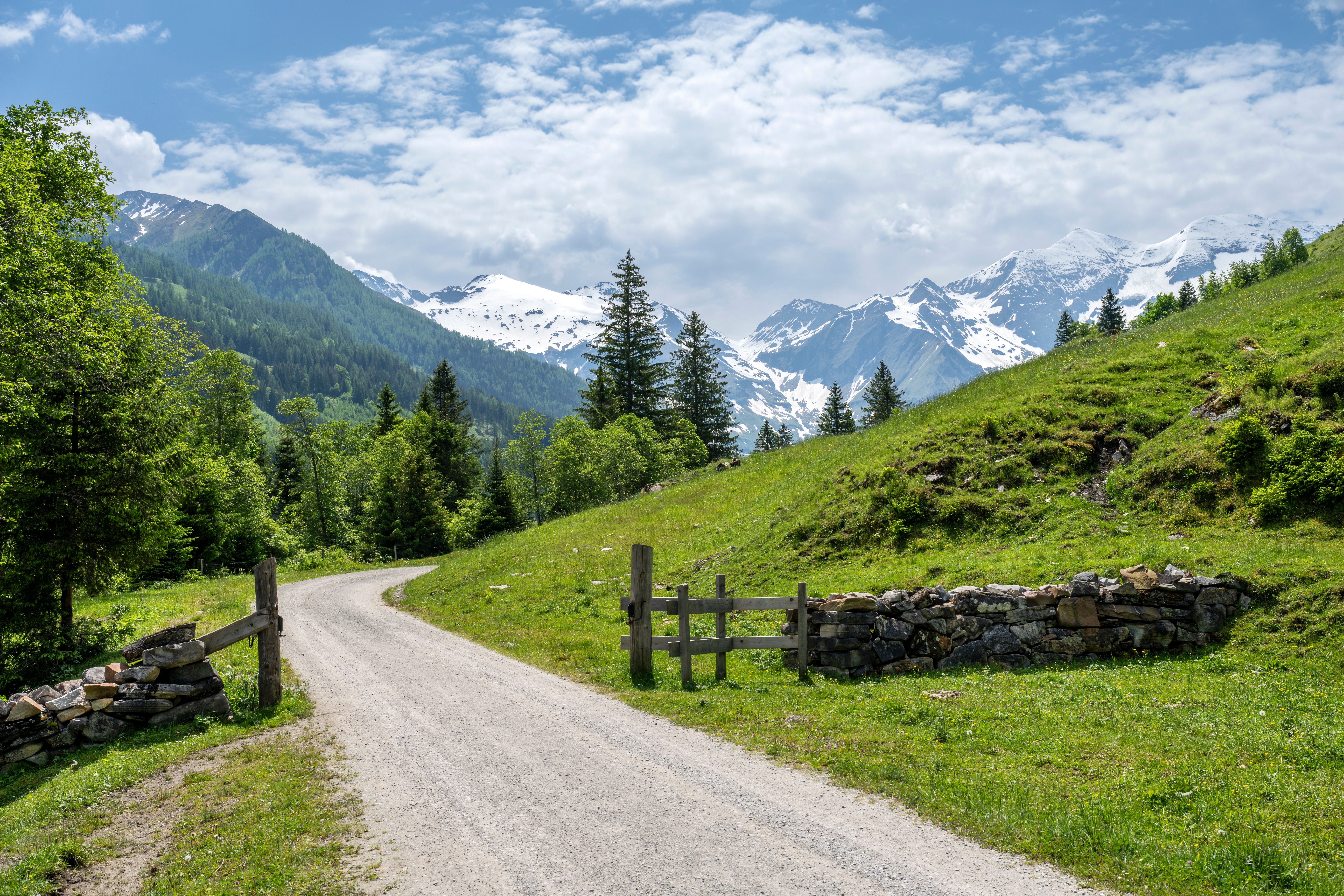 Schotterweg durch grüne Wiesen mit schneebedeckten Alpen im Hintergrund bei Ferleiten, Österreich.