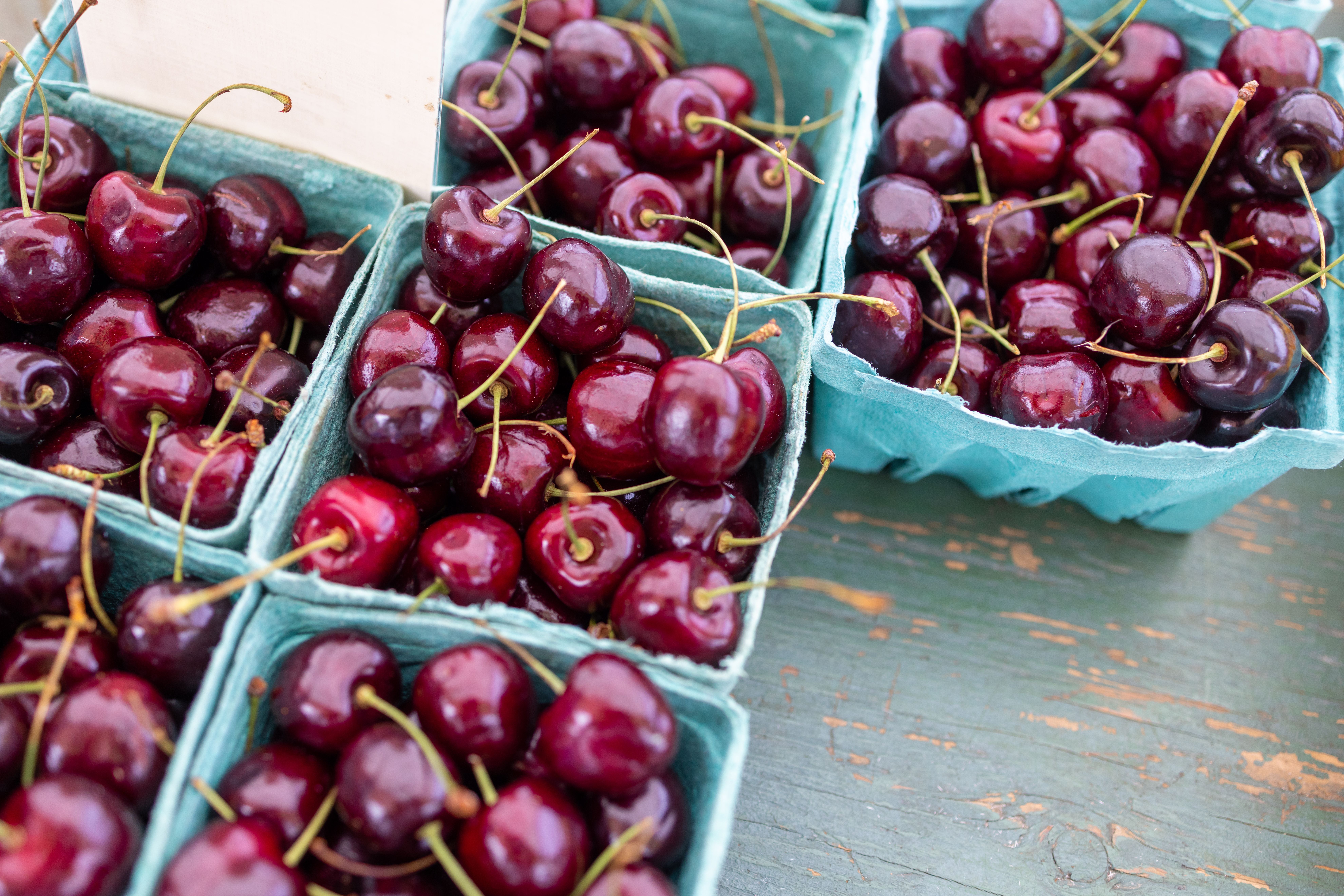 Frische rote Kirschen in blauen Pappschalen auf einem Holztisch.