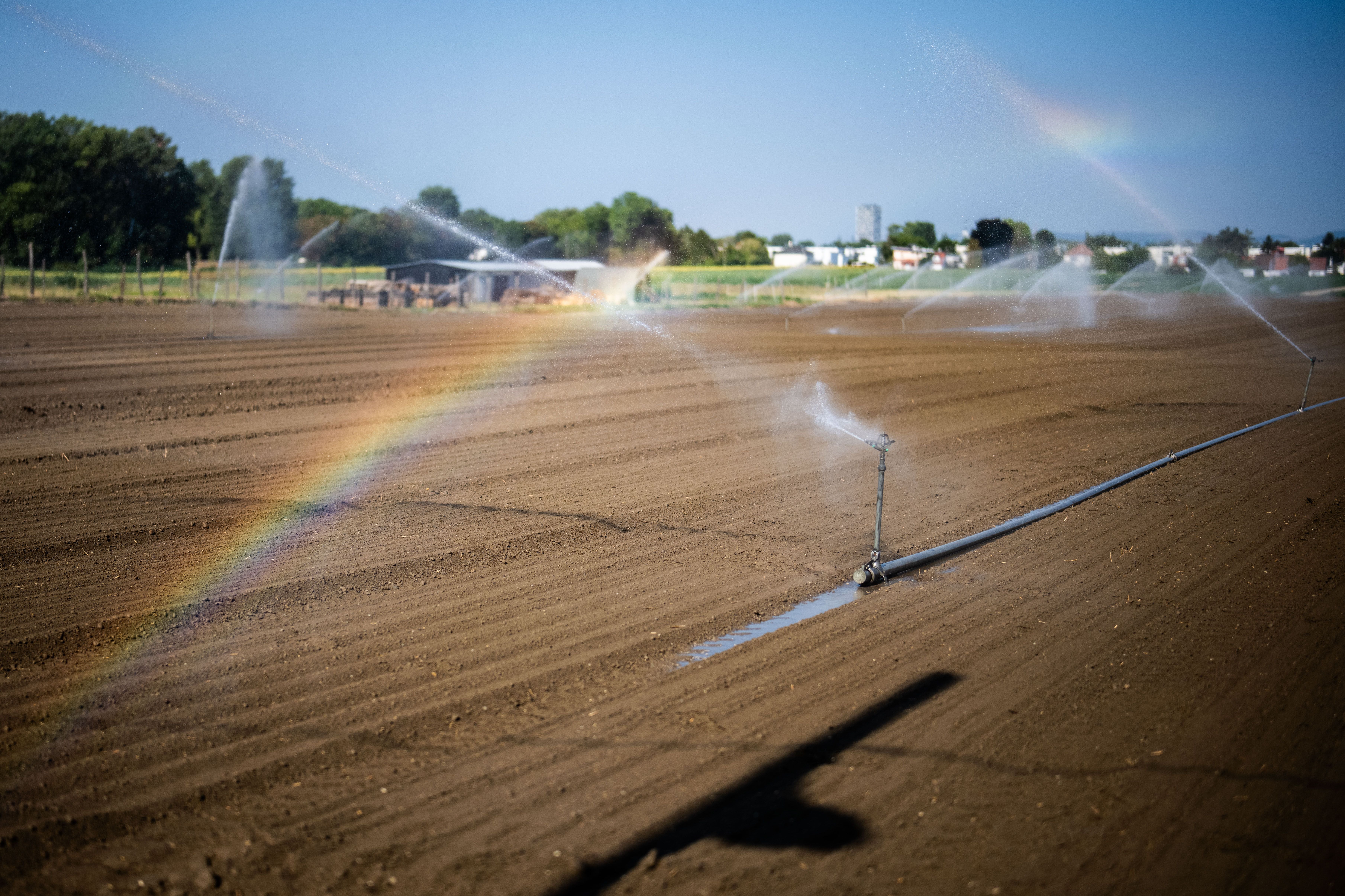 Beregnungsanlage bewässert ein trockenes Feld, dabei entstehen Regenbögen im Wassernebel.