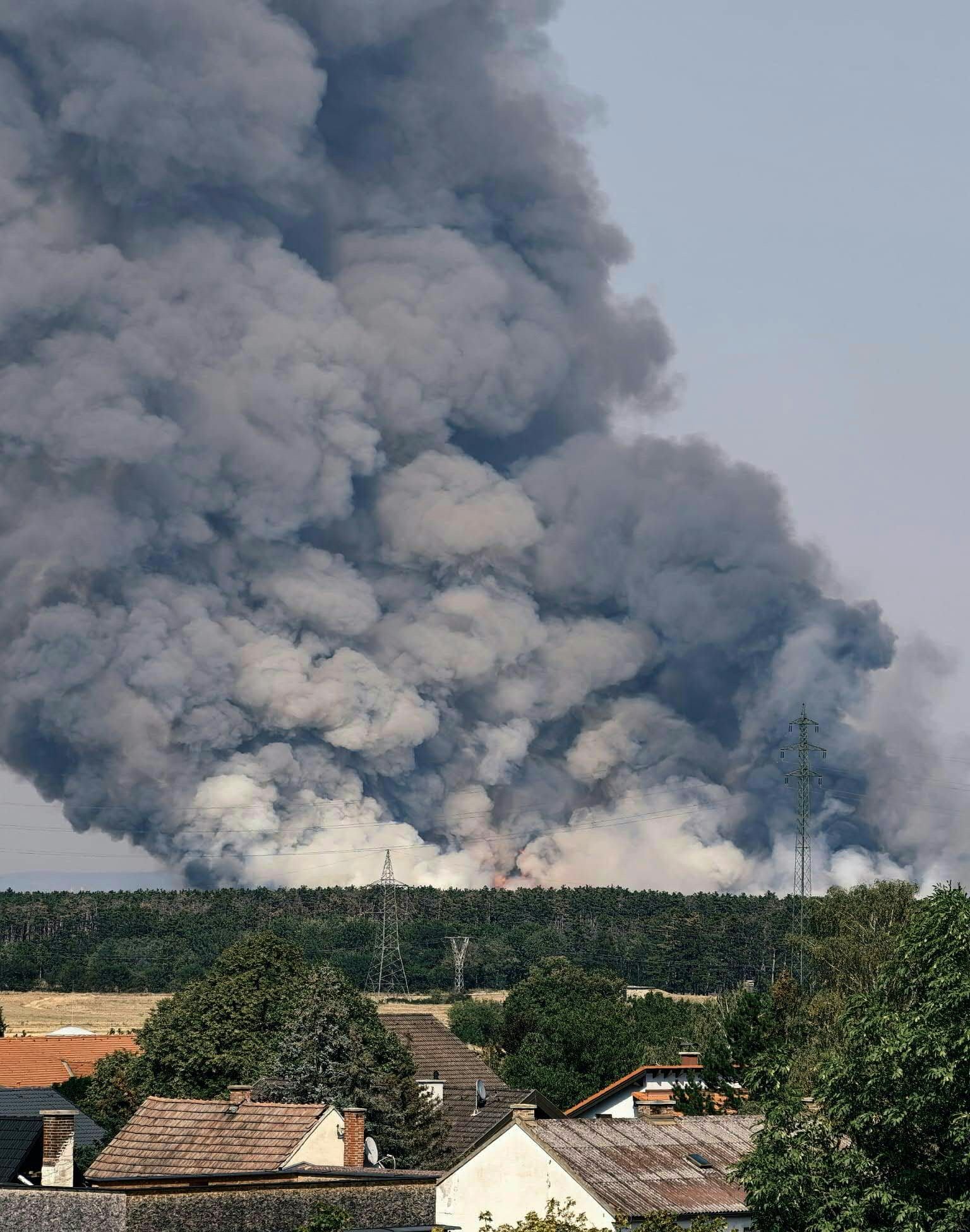 Dichter Rauch steigt von einem Waldbrand hinter einem Wohngebiet in den Himmel auf.