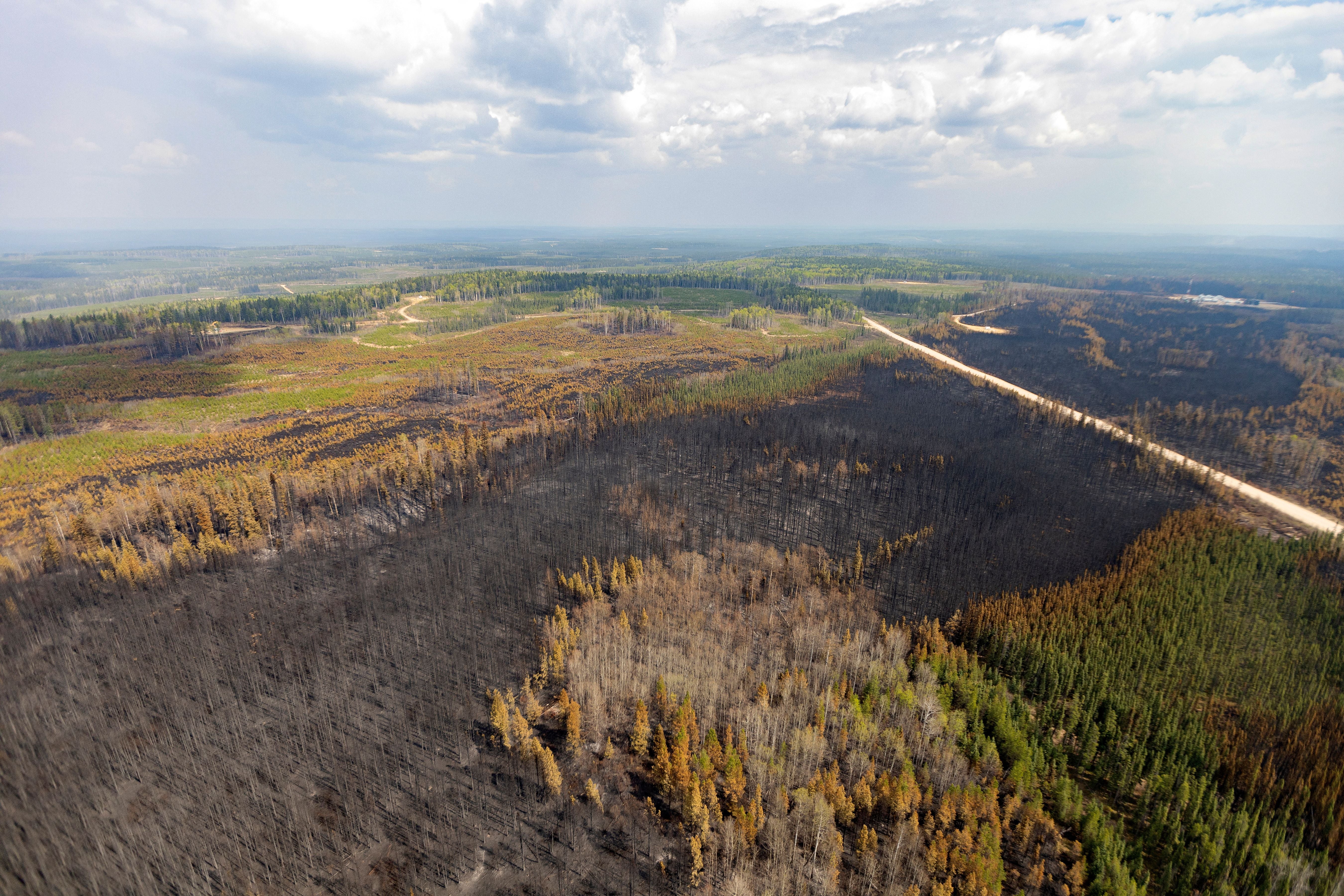 Luftaufnahme einer durch Waldbrand verbrannten Landschaft mit teils grüner Vegetation in Alberta, Kanada.