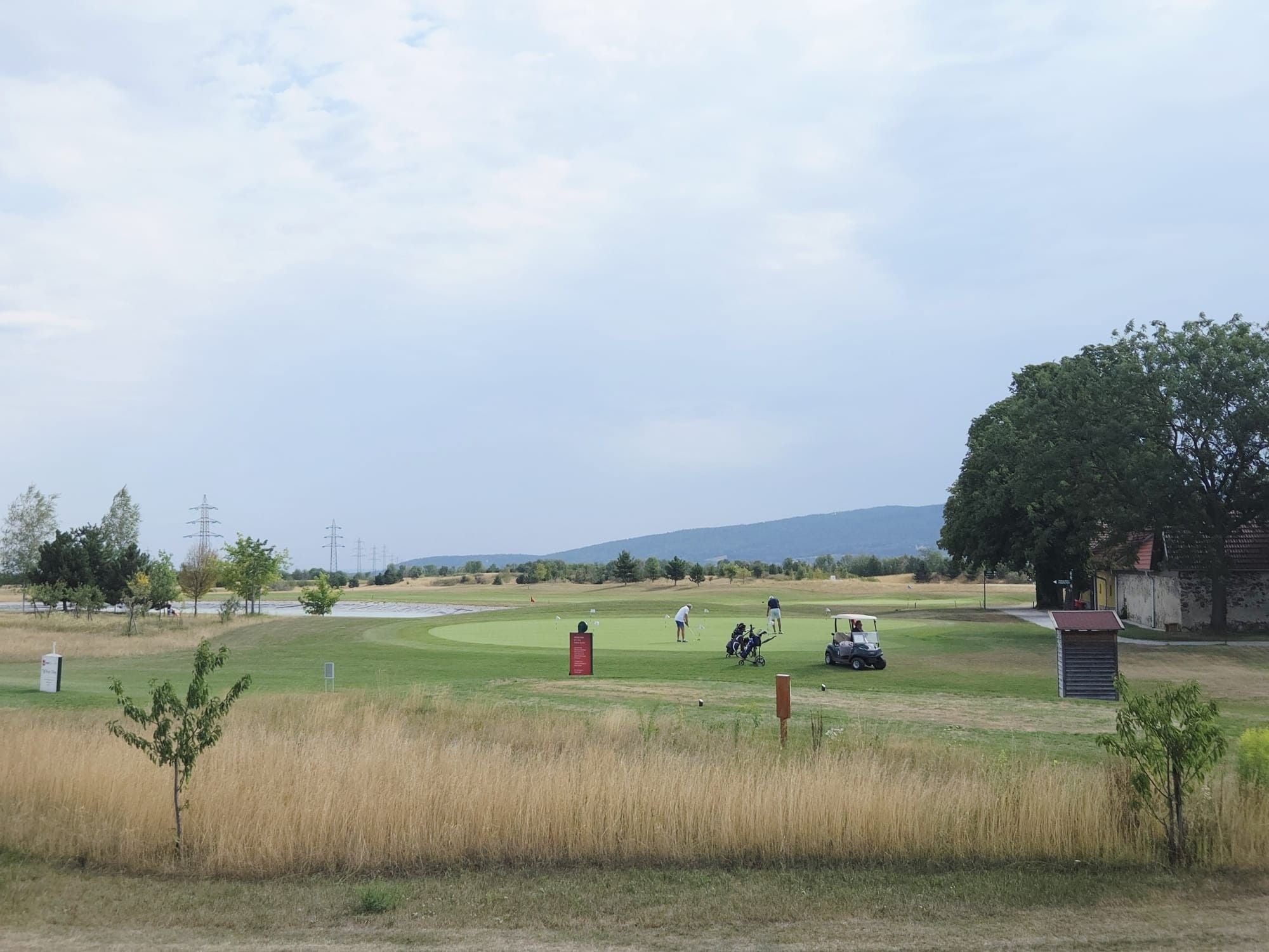 Zwei Personen spielen Golf auf einem grünen Platz mit einem Golfwagen und Bäumen im Hintergrund.