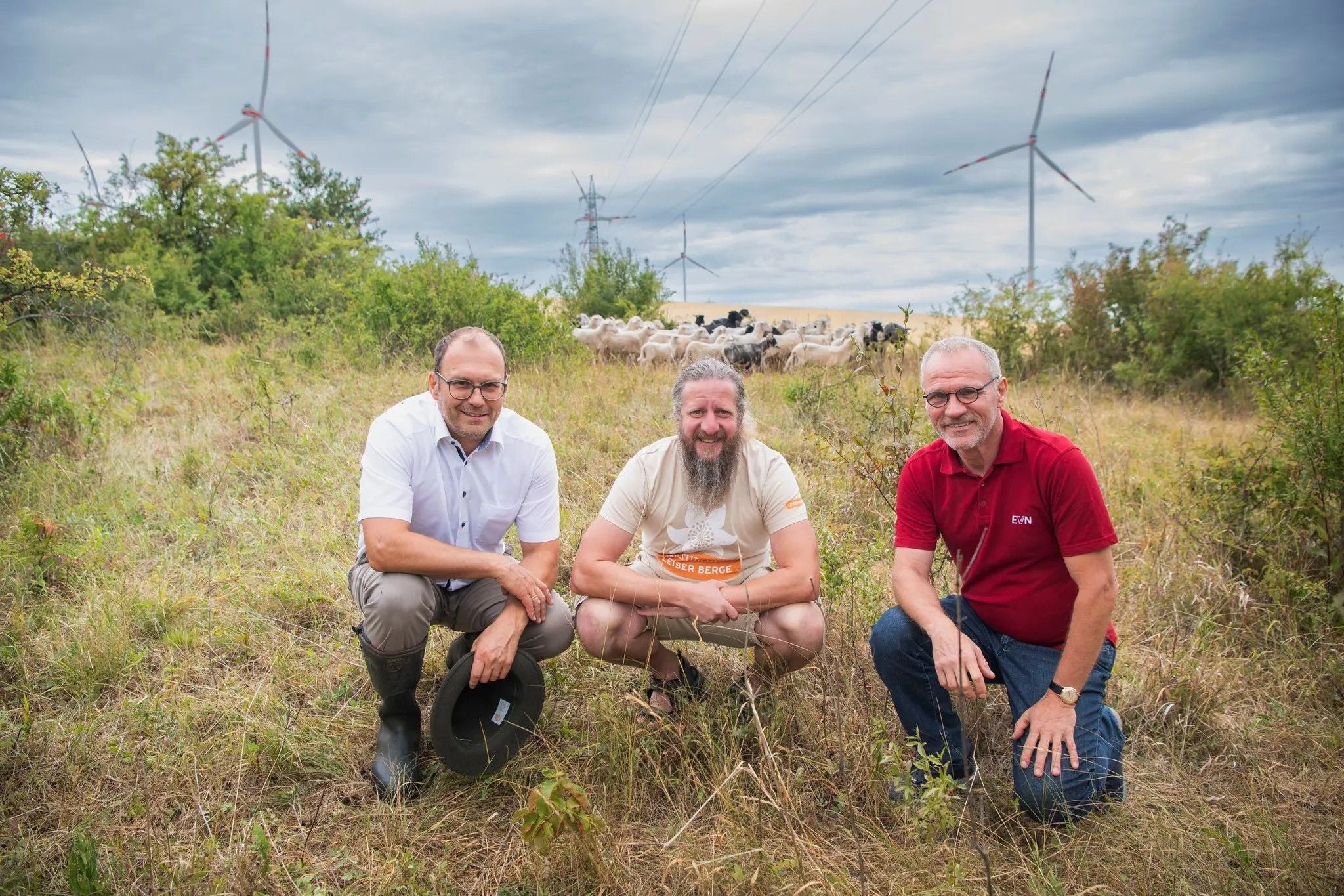 Der Windpark wird doppelt genutzt.
