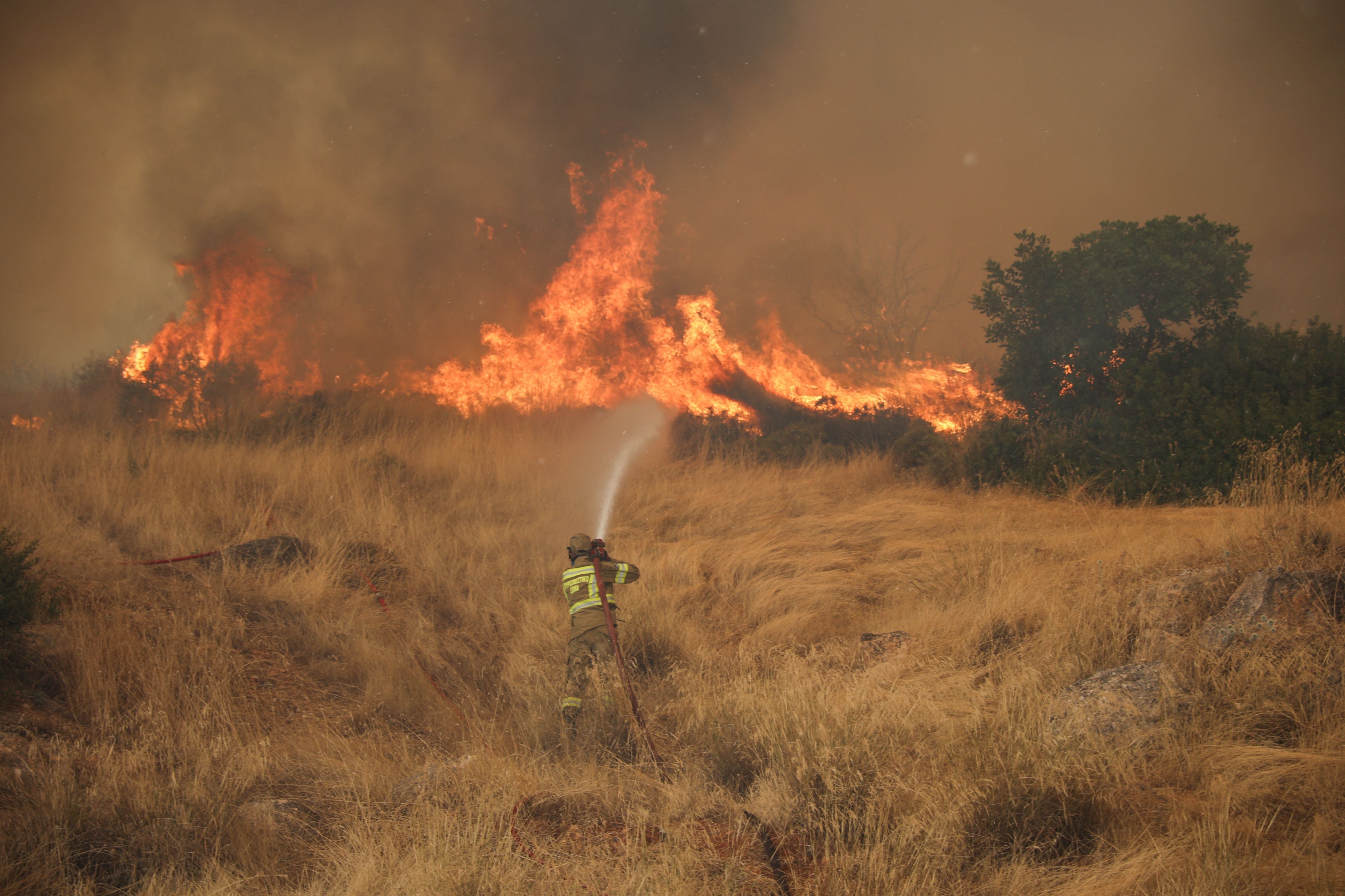 Ein Feuerwehrmann bekämpft mit einem Wasserschlauch einen großen Flächenbrand im trockenen Grasland.