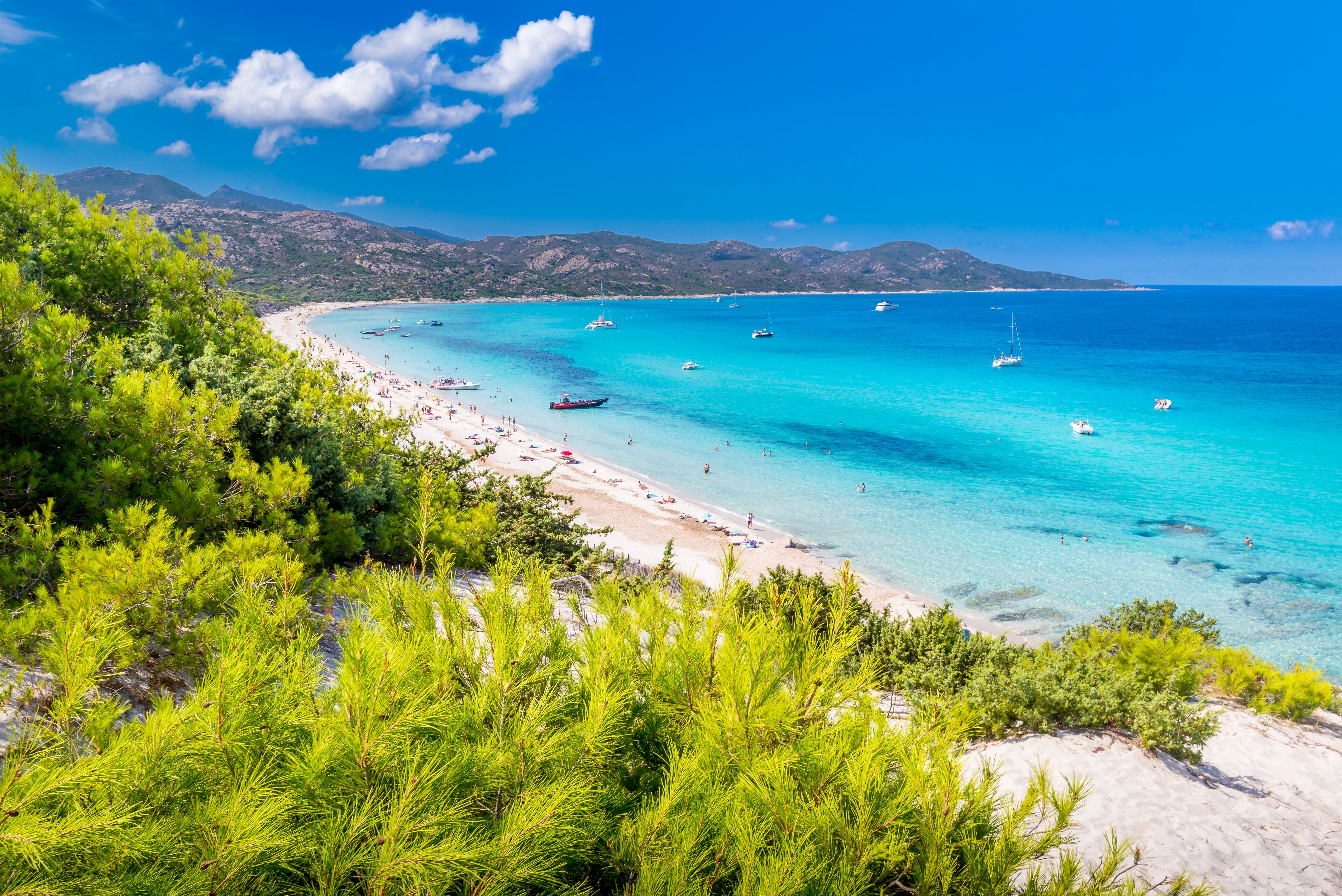 Strand Saleccia mit türkisblauem Wasser, Sand, Booten und grüner Vegetation auf Korsika, Frankreich.