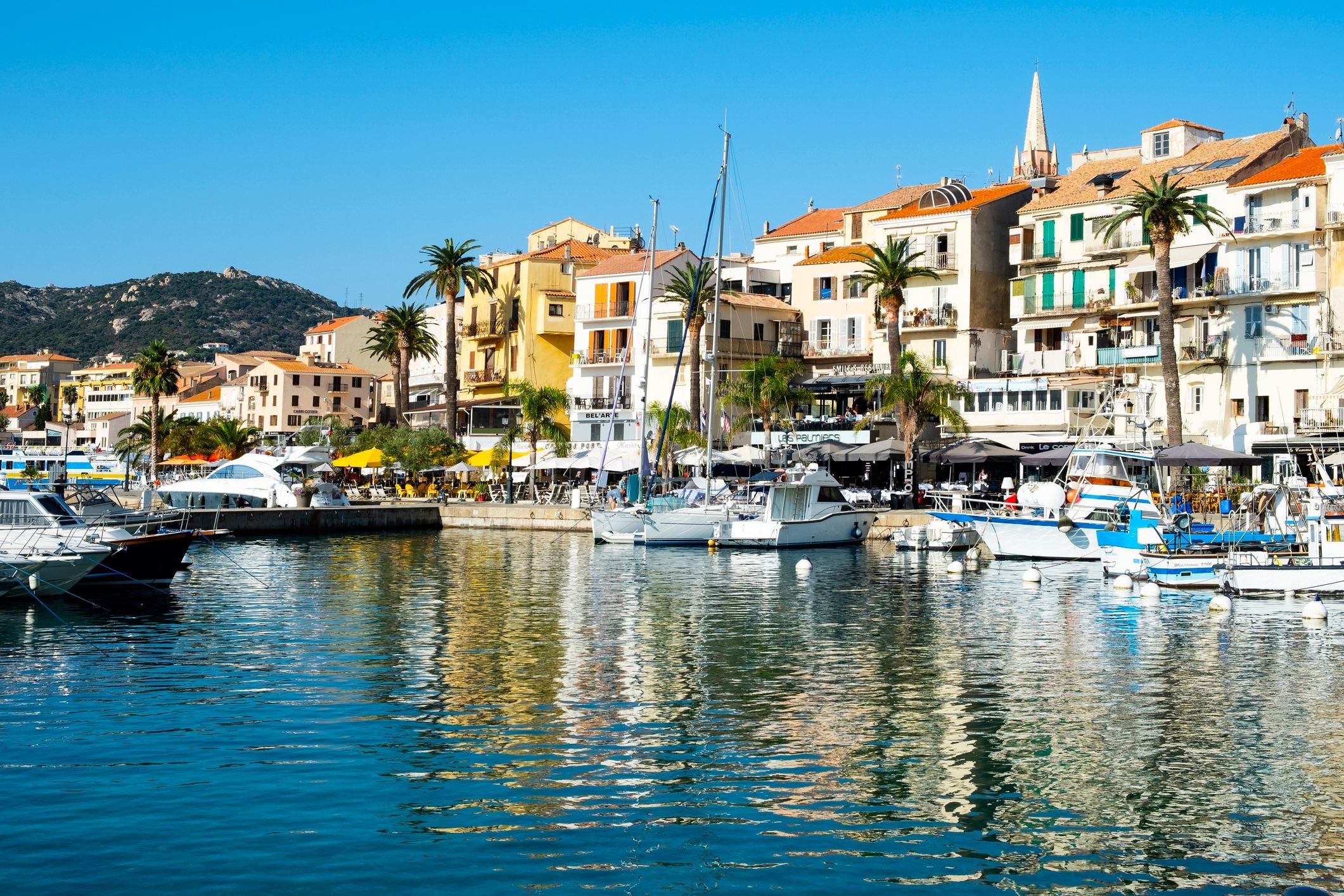 Der Hafen von Porto-Vecchio mit Booten, Palmen und bunten Häusern im Sonnenschein.