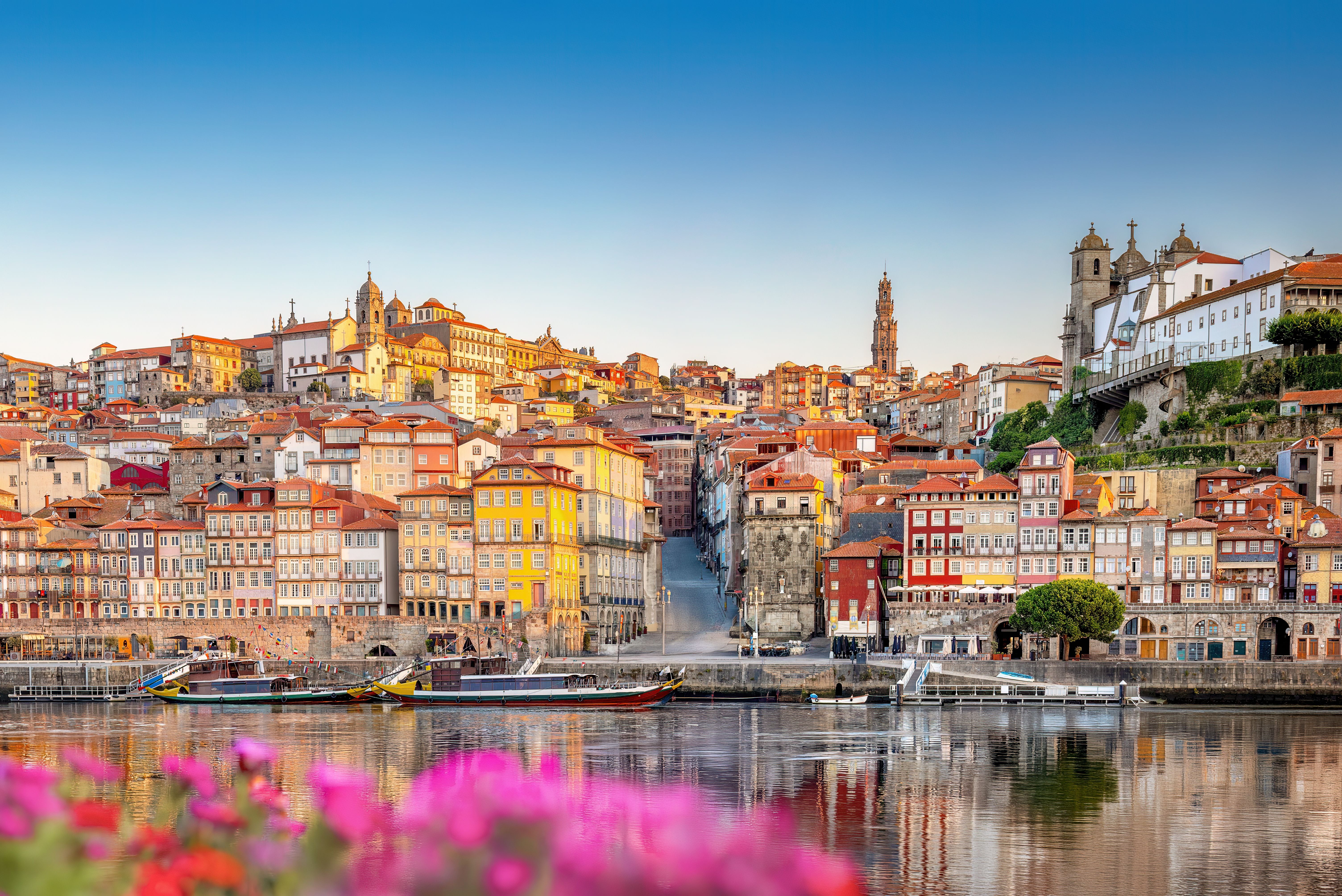 Bunte Altstadthäuser von Porto am Douro-Fluss, vorne blühende Blumen und Boote am Ufer.