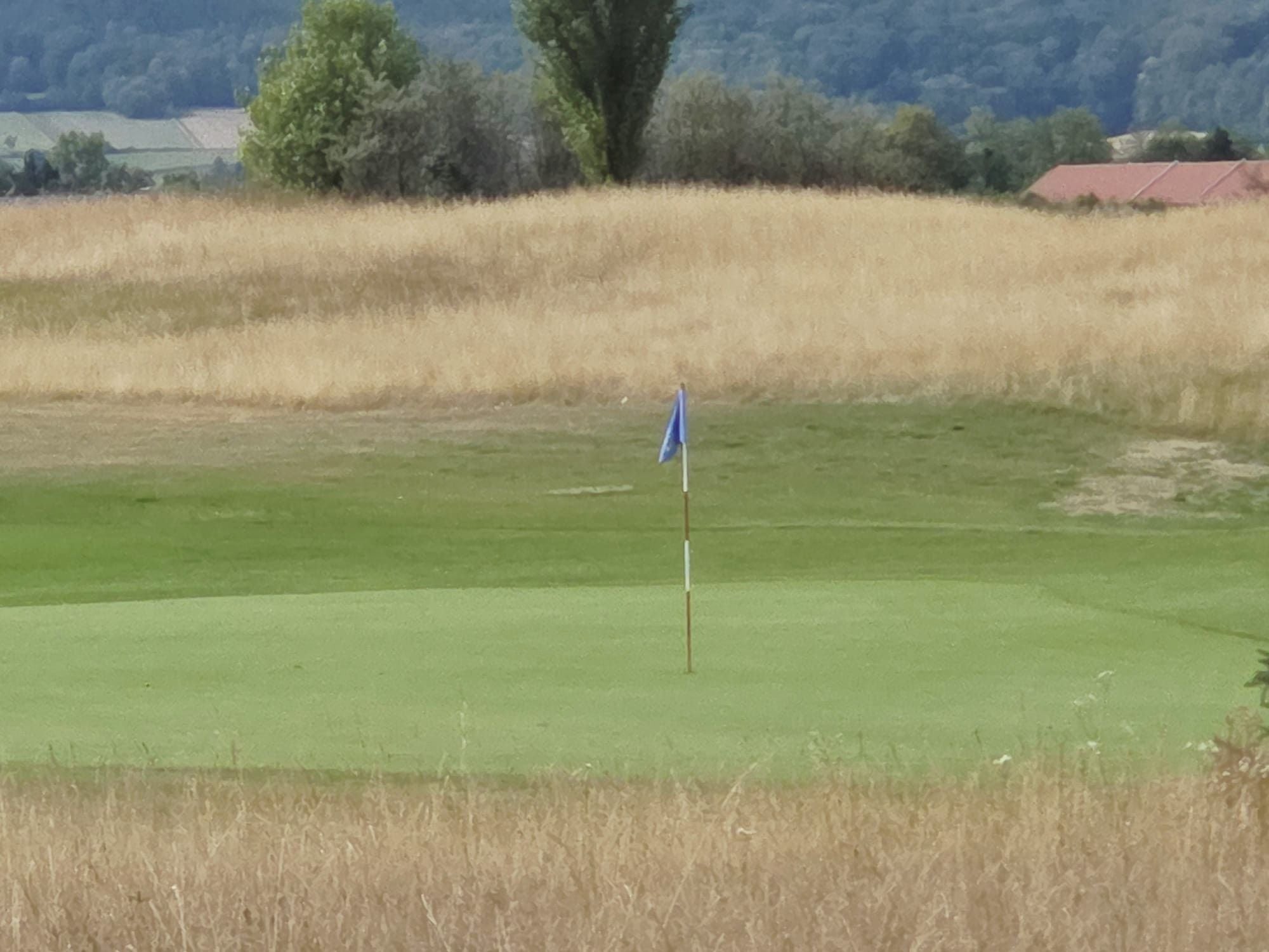 Eine Golf-Flagge steht auf einem gepflegten Grün umgeben von trockenem, hohem Gras.