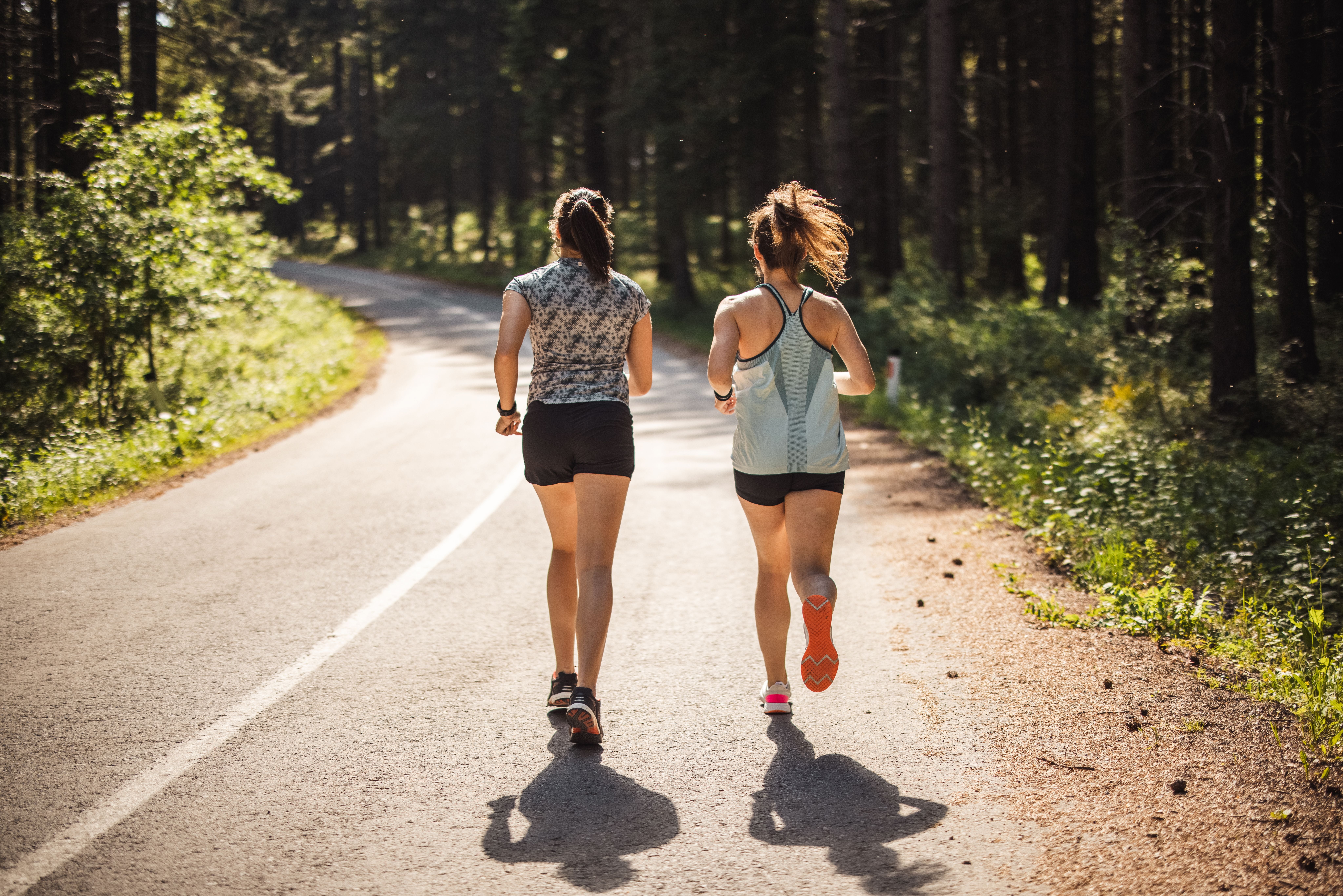Zwei Frauen joggen auf einer sonnigen Waldstraße, von hinten gesehen.