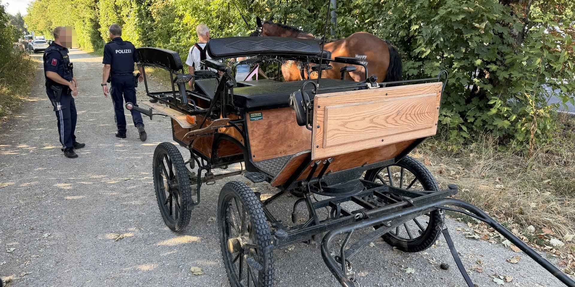 Polizisten stehen bei einer Kutsche und einem Pferd auf einem Waldweg nach einem Kutschenunfall.